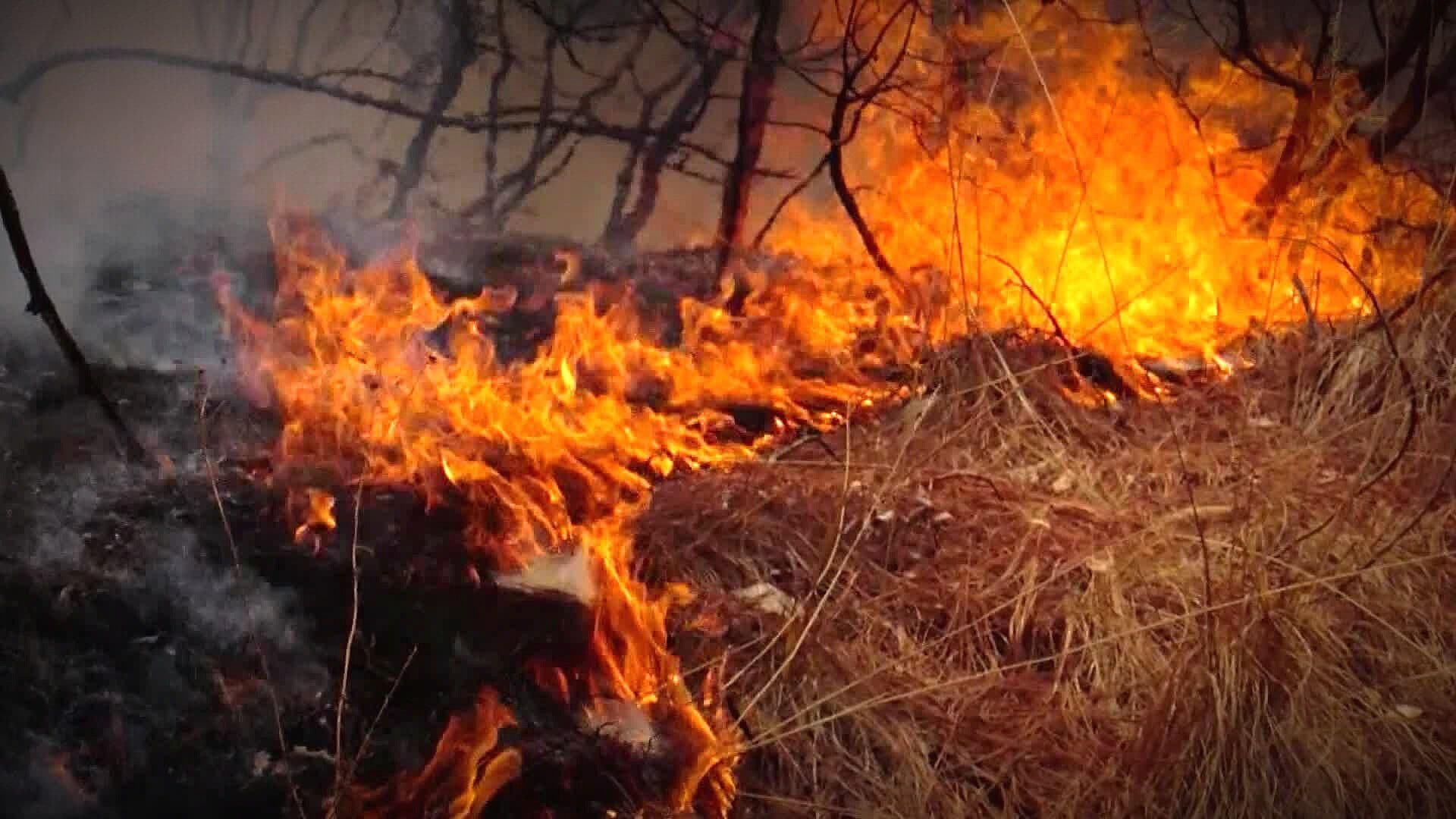 Quinto Día Consecutivo del Incendio Forestal en Mezquitic