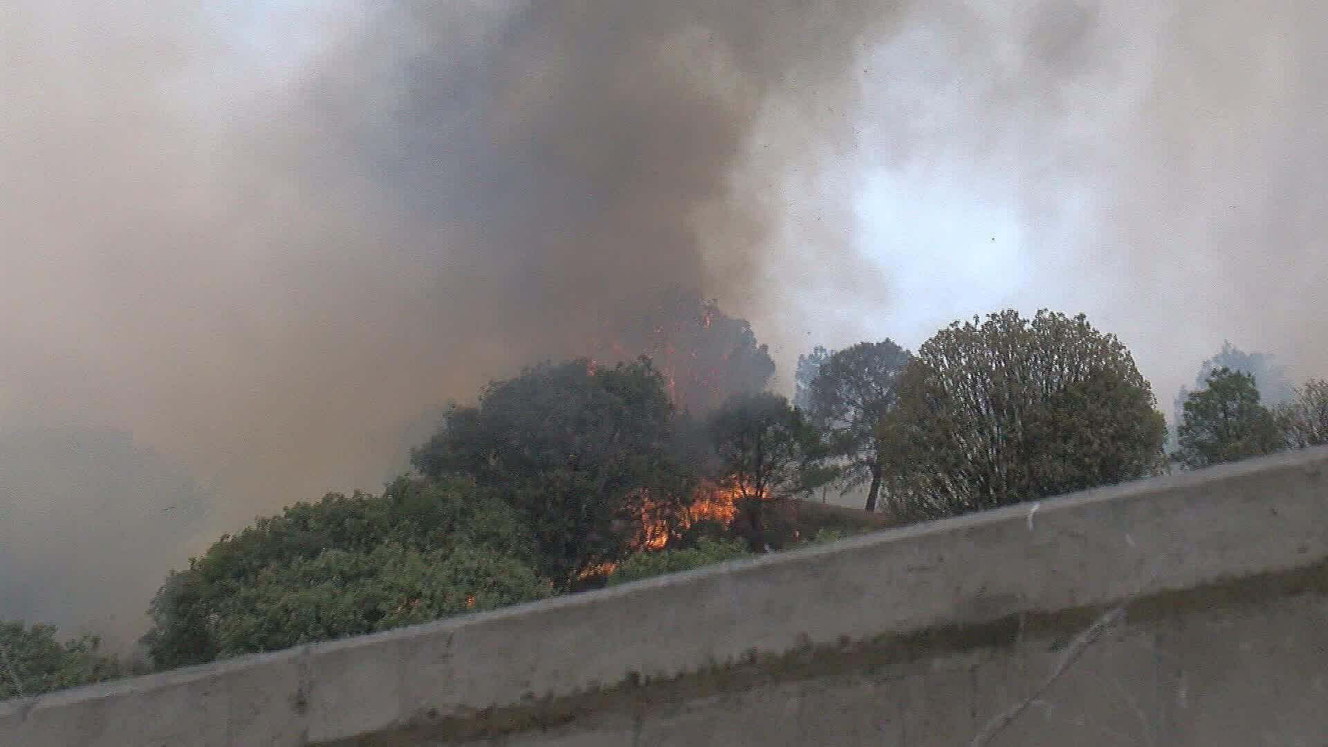 Detienen a Presunto Culpable de Incendiar el Bosque La Primavera