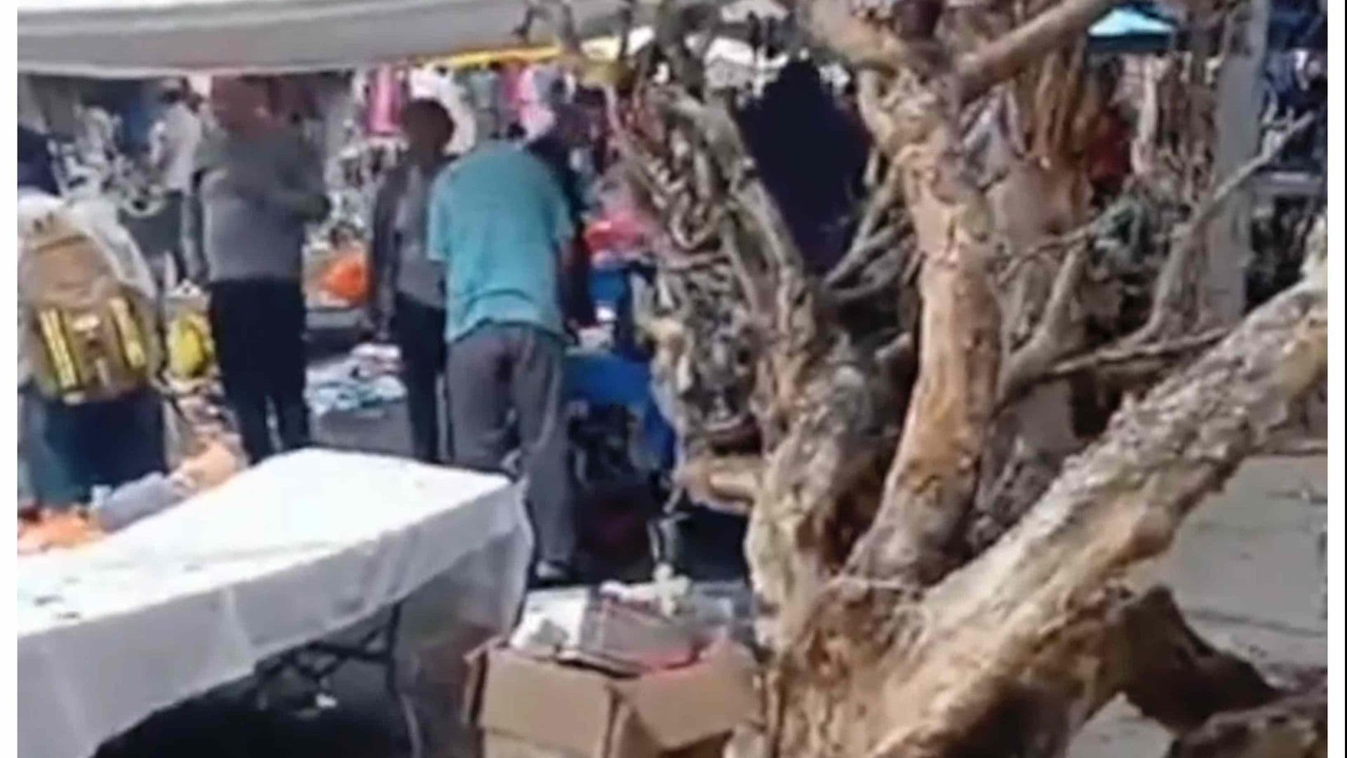 Cae Árbol en Tianguis de Irapuato, Un Menor y una Mujer Están Lesionado