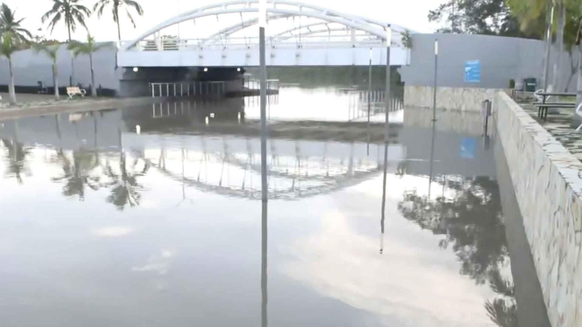 Suben los Niveles del Canal de la Cortadura en Tampico; Avistan Cocodrilos