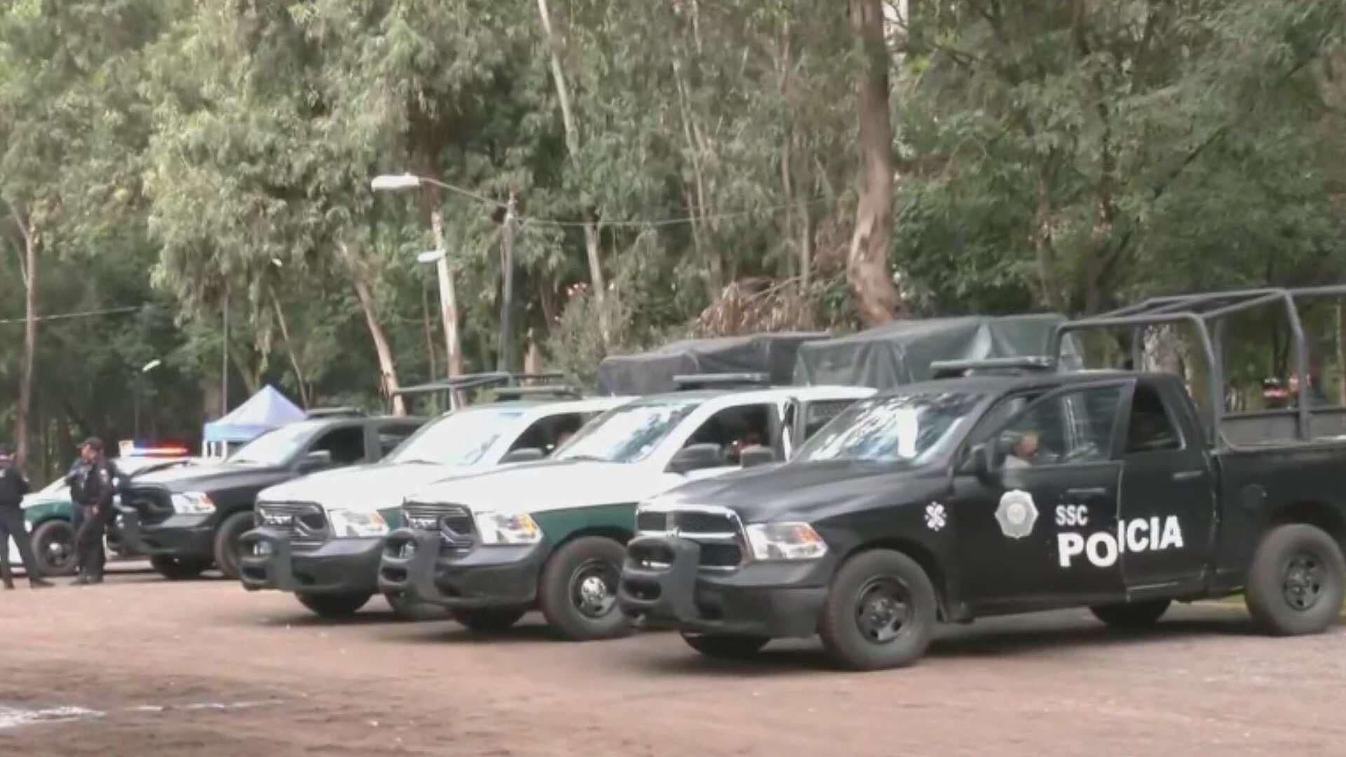 Continúan Investigaciones tras Hallazgo de Perros Muertos en el Bosque de Nativitas