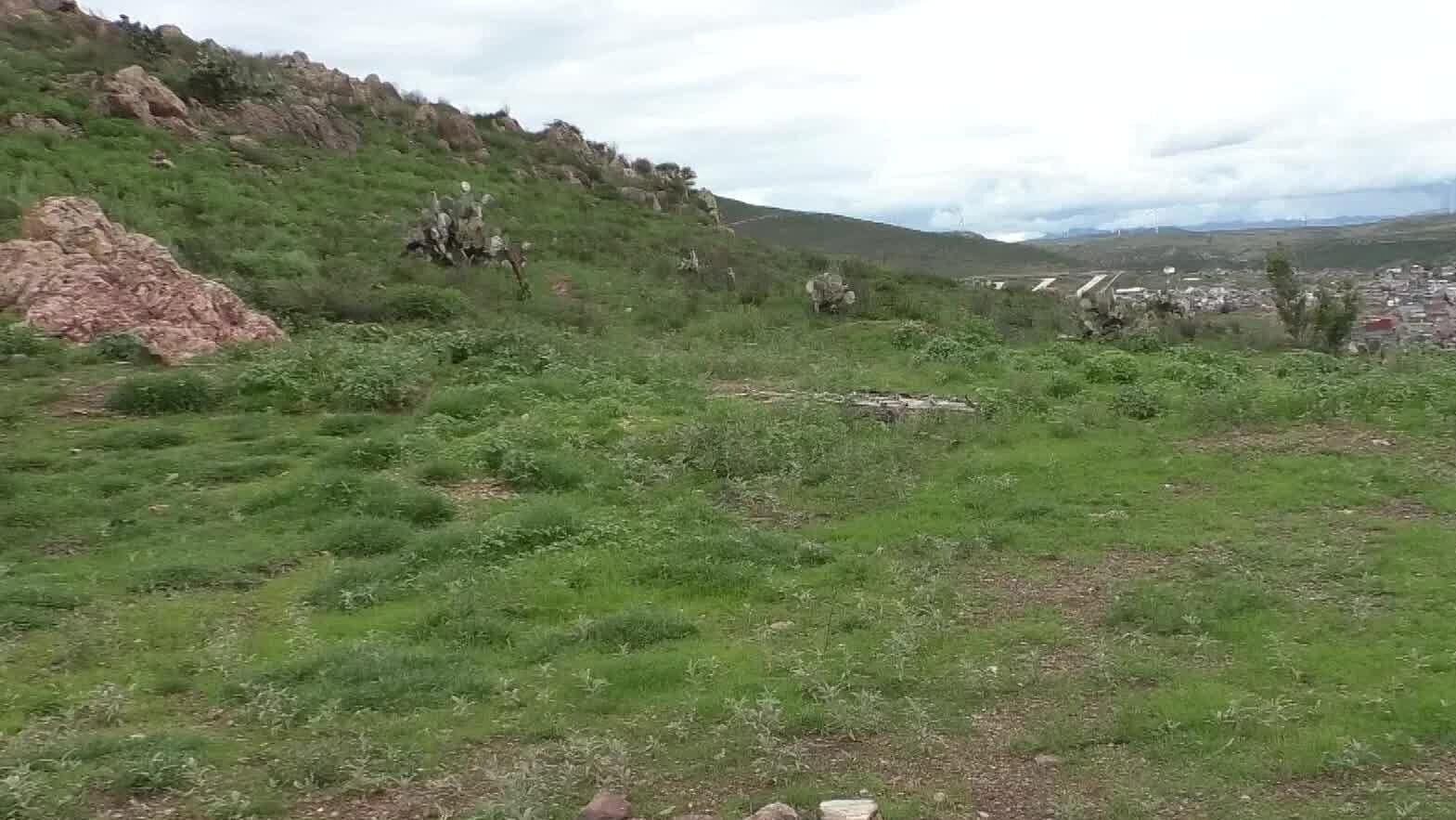La Ruta Wixárika y su Importancia en Zacatecas: ¿Qué Relación Tiene con el Estado?
