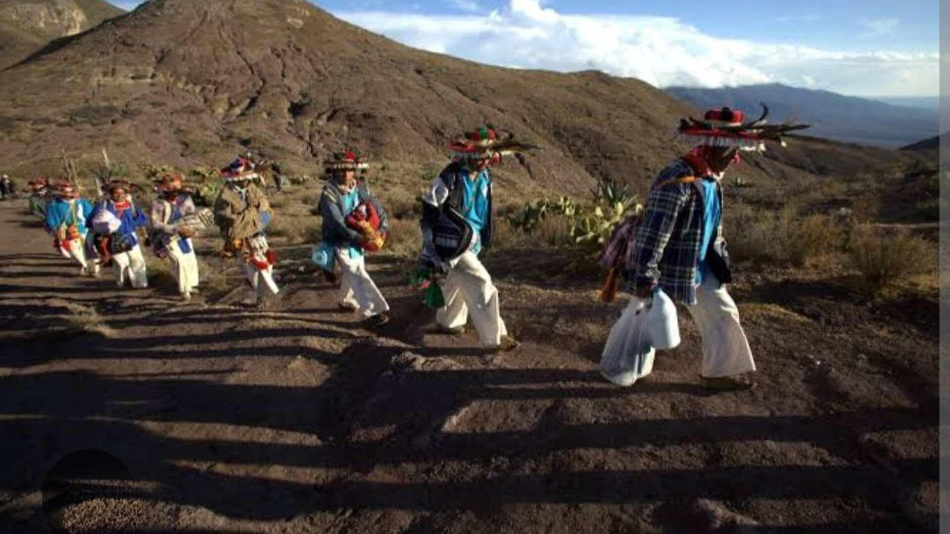 Reconocimiento de la UNESCO a Ruta Wixárika Permitirá Mantener Viva la Cultura de Esa Comunidad
