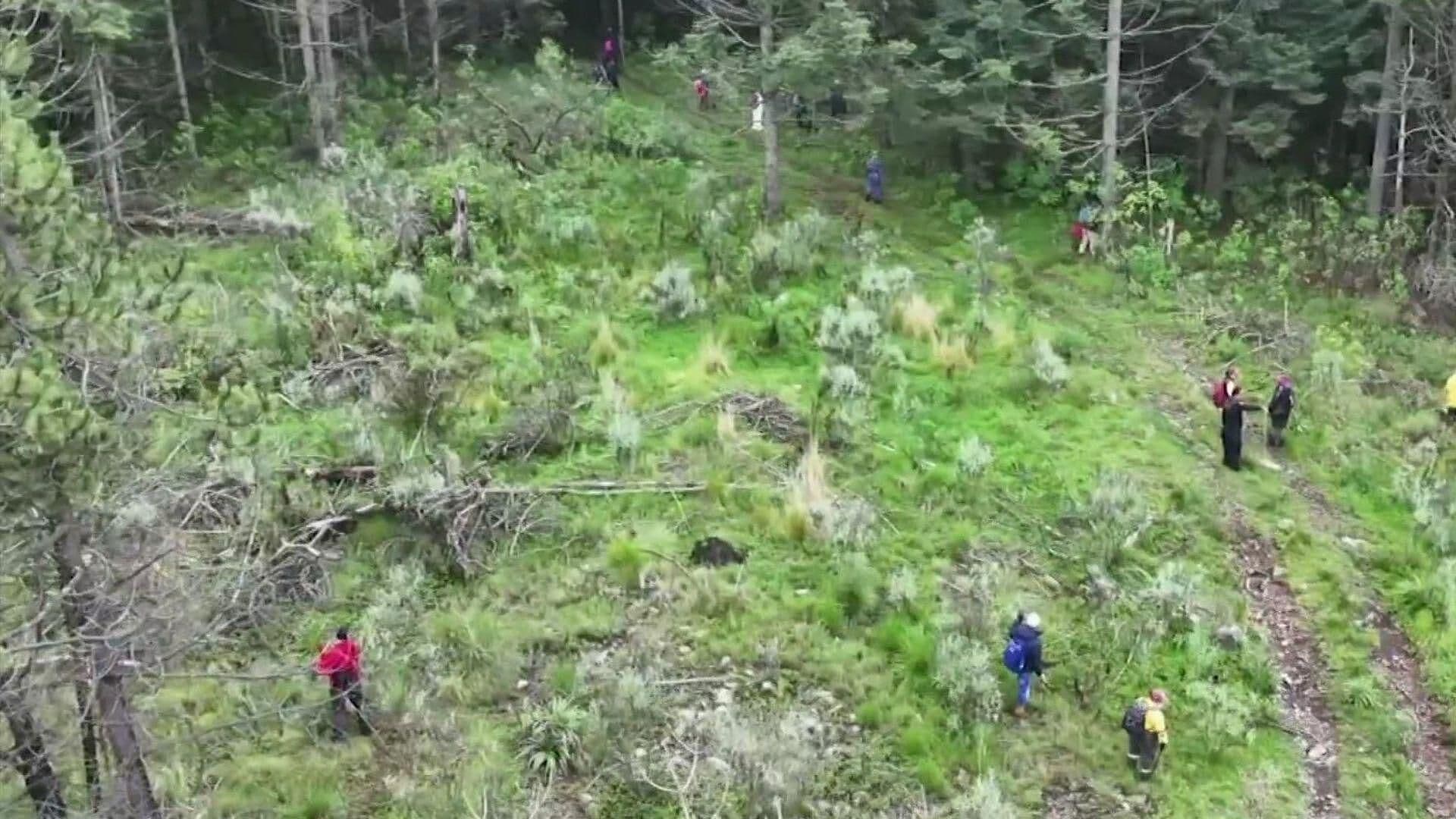Siguen las Jornadas de Búsqueda en Ajusco para Hallar a Pamela Gallardo y Ana Amelí García