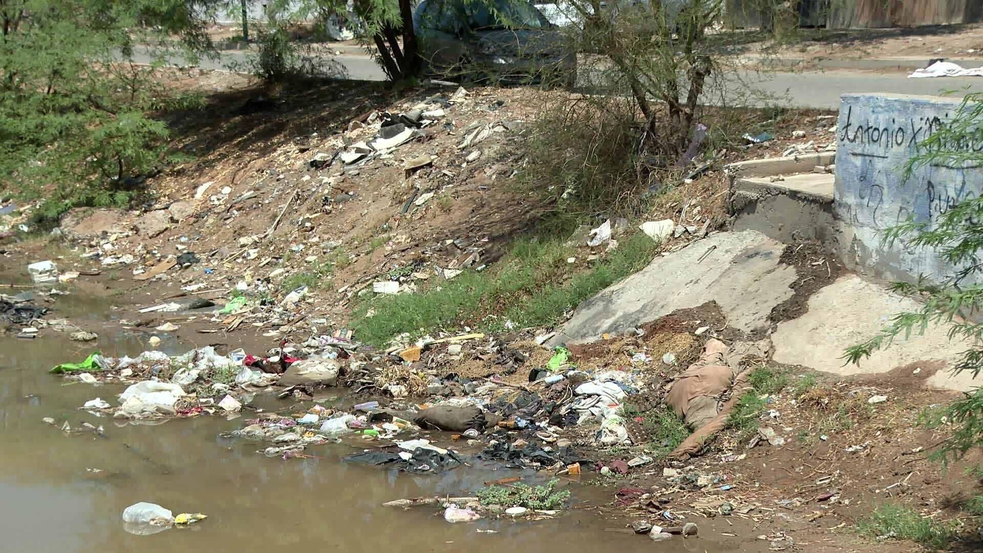 Vecinos Reportan Basura que Genera Malos Olores en Colonia La Cholla y Los Arroyos