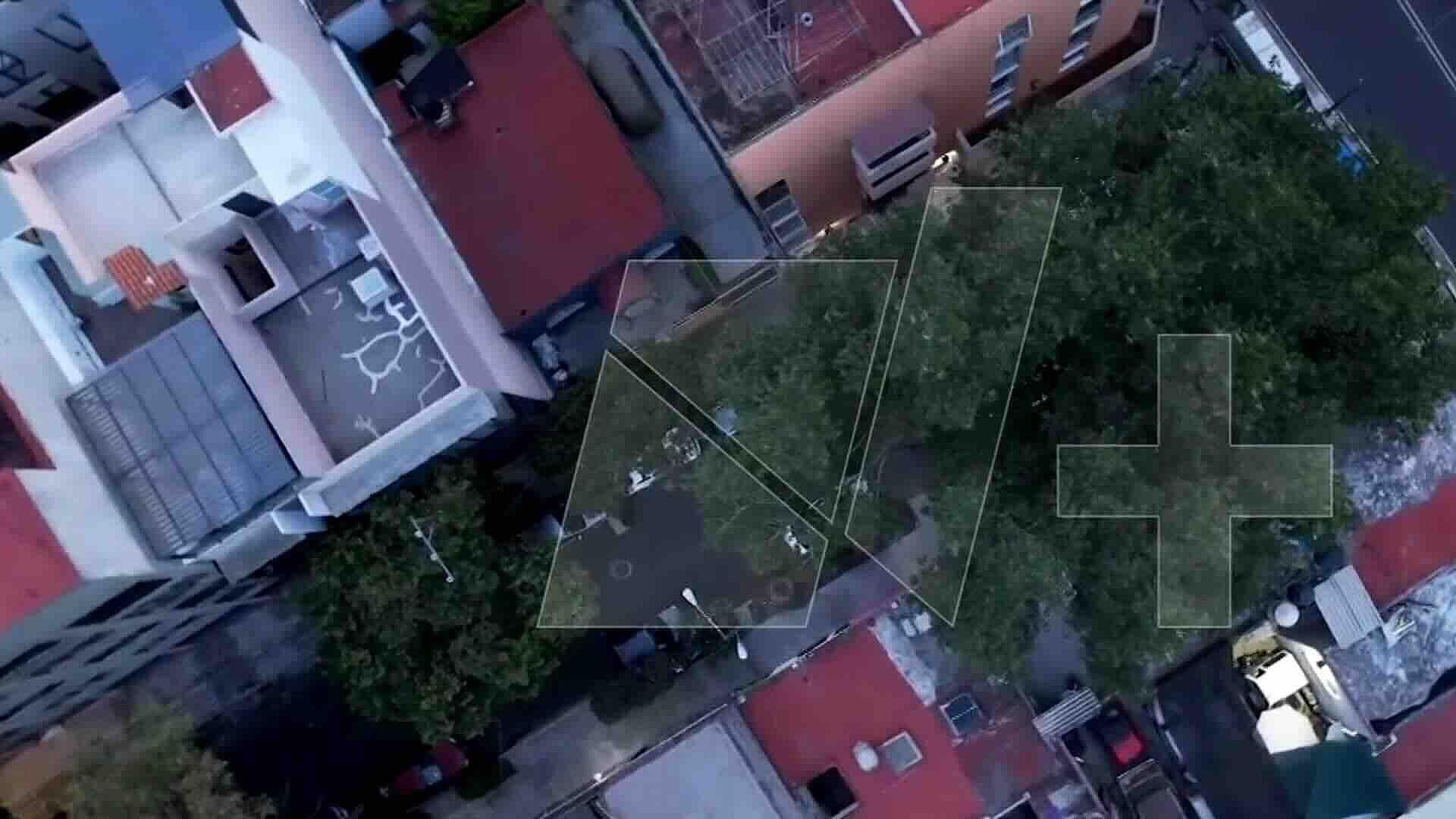 Árbol de 40 Metros en Benito Juárez Causa Daños y Riesgo en Colonia Portales Sur