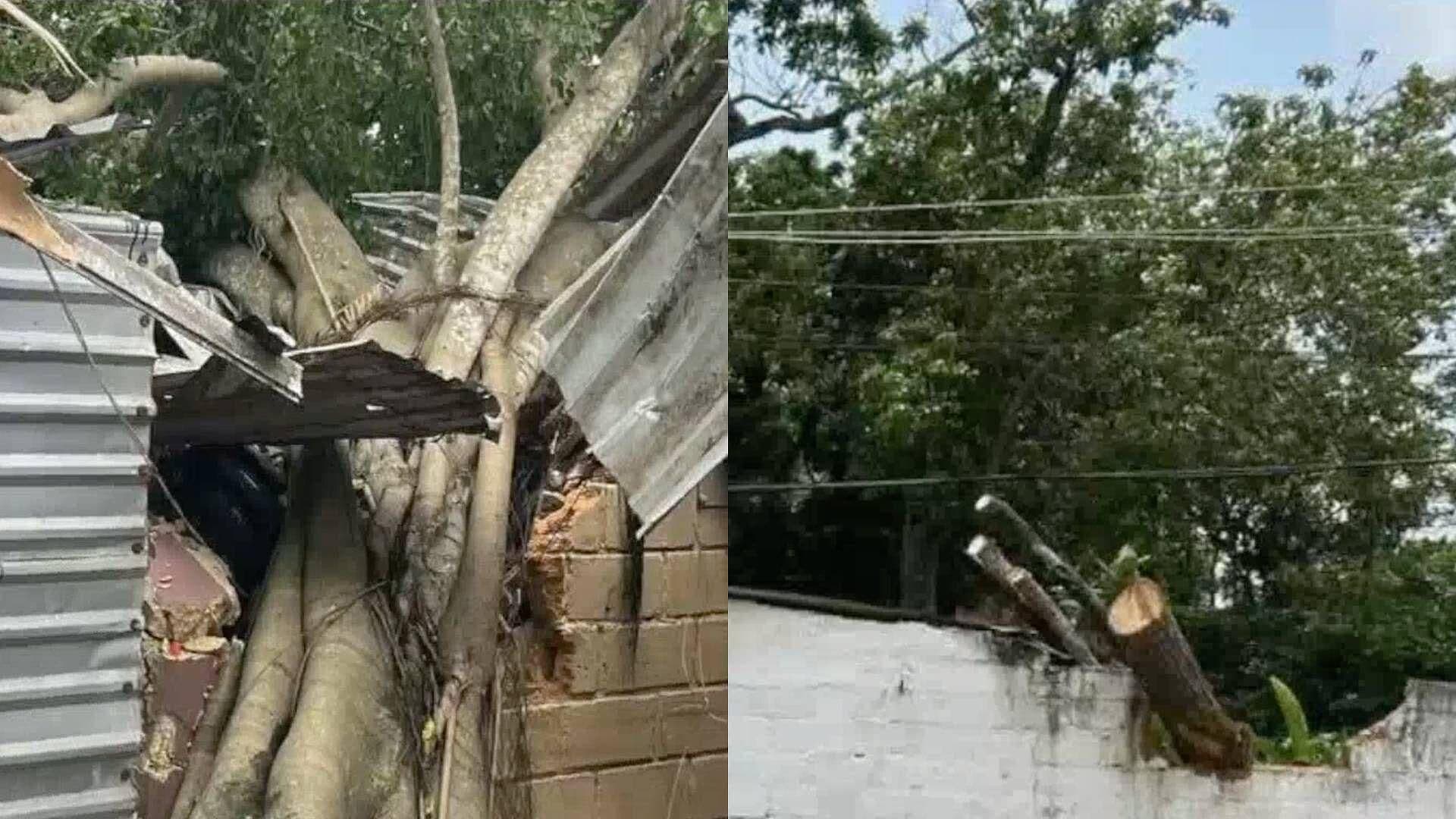 Fuertes Lluvias Causan Afectaciones en Oluta al sur del Estado de Veracruz