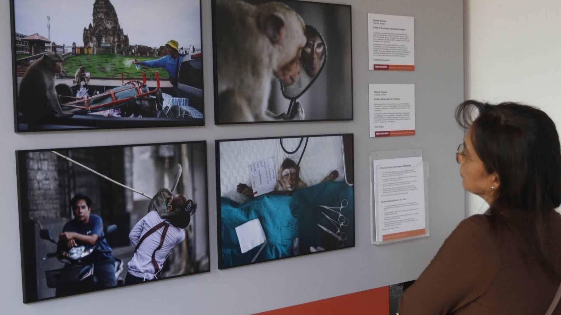 Inauguran World Press Photo Este Jueves en el Museo Franz Mayer de la CDMX