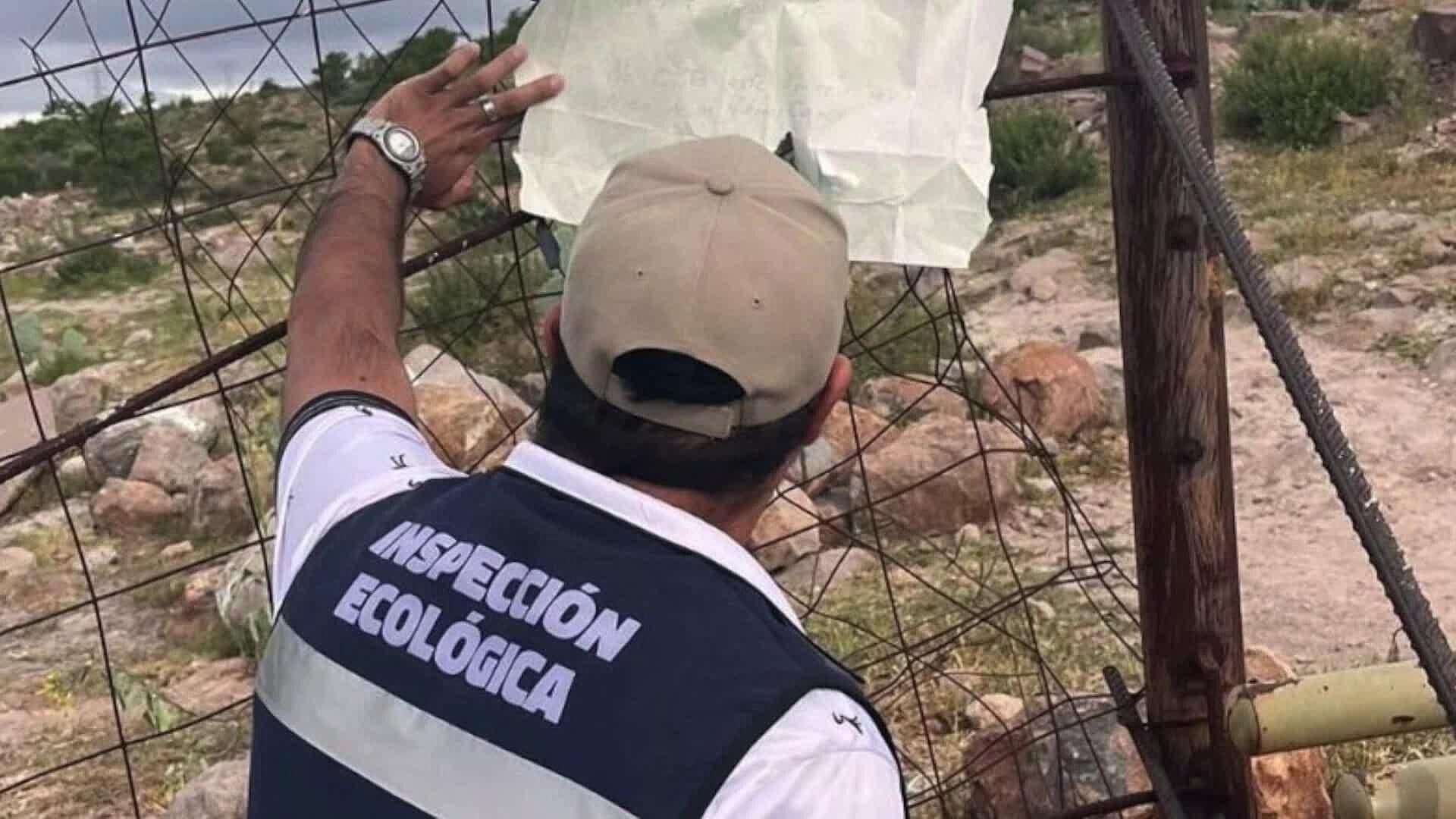 Denuncian Envenenamiento Masivo de Perros en Soledad de Graciano Sánchez, SLP
