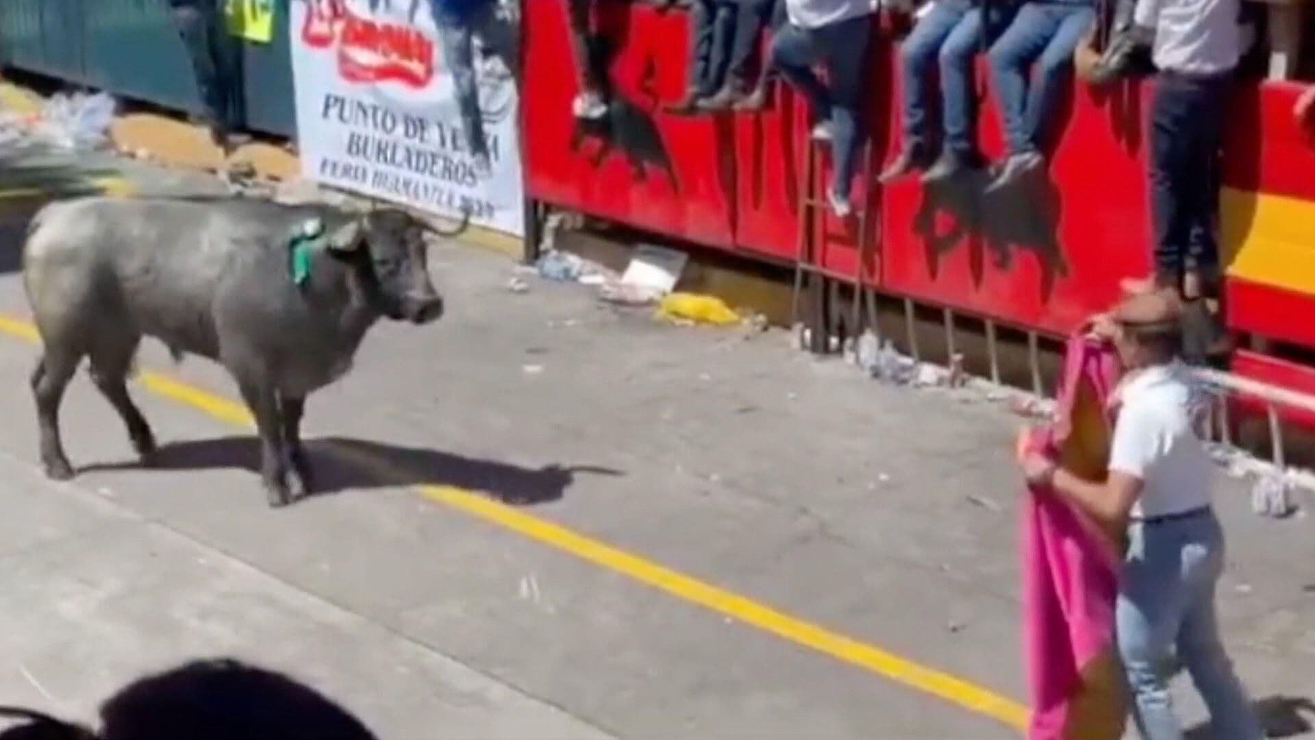 Así Es El Nuevo Reglamento de la Huamantlada en Tlaxcala