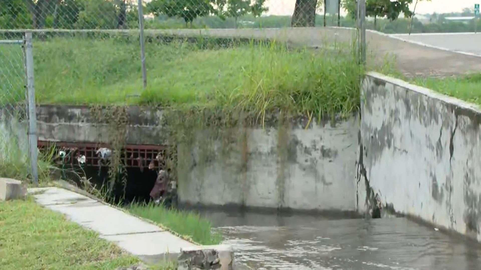 Denuncian Fuga de Aguas Negras Cercana a Laguna del Carpintero