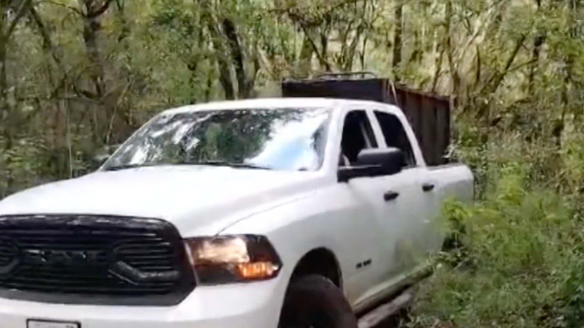 Autoridades Instalan Trampa para Oso en Gómez Farías en Tamaulipas