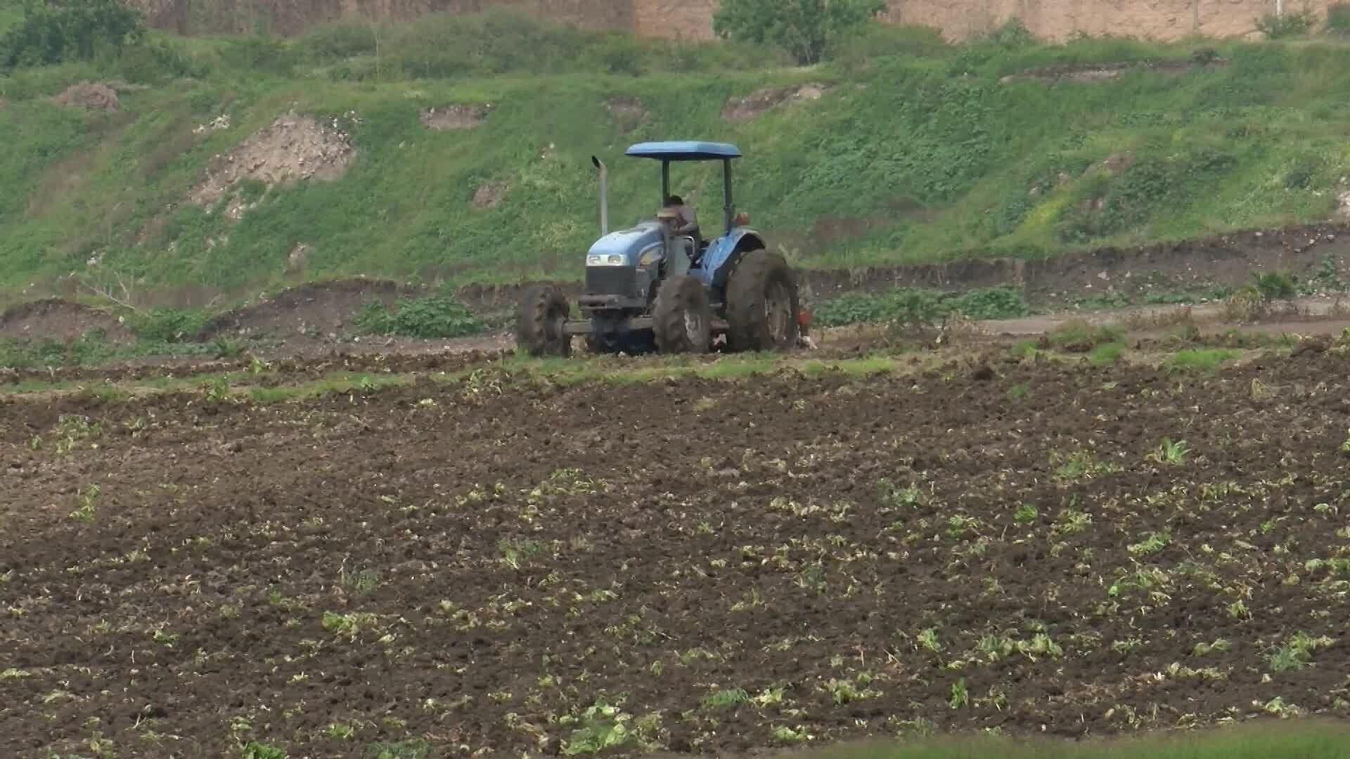 Temporada Invernal Podría Impactar al Campo Queretano; Se Esperan Heladas