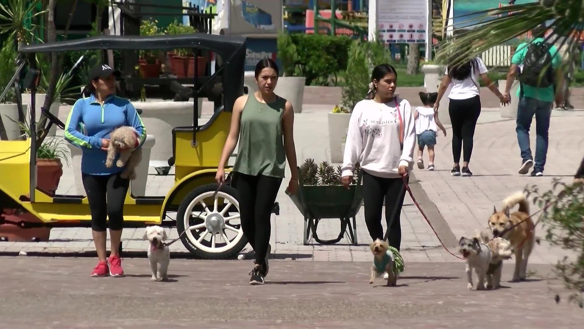 Animales Rescatados Encuentran Refugio Seguro en el Parque Bicentenario de Querétaro