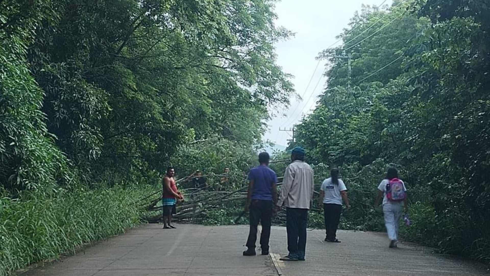 Con Troncos Ramas y Piedras Bloquean Carretera de Tatahuicapan en el Sur de Veracruz