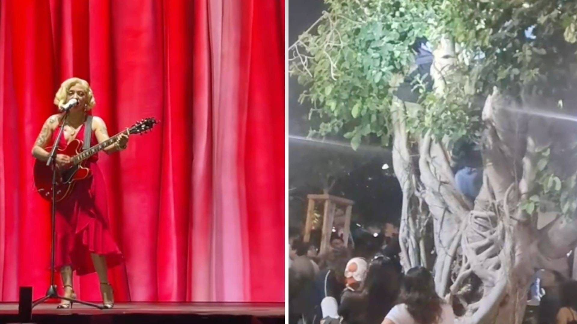 Escalan Árboles y Edificios Cercanos en el Concierto de Mon Laferte de Mérida