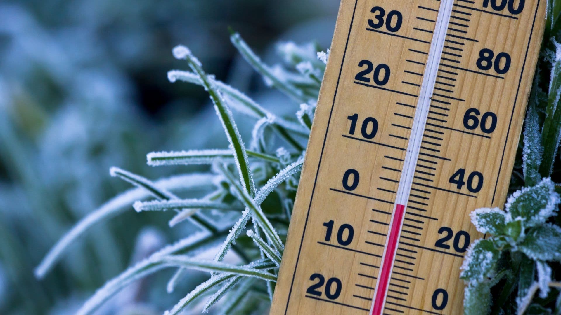 ¿En qué Municipios de la Sierra de Querétaro se Suspenden Clases por las Bajas Temperaturas?