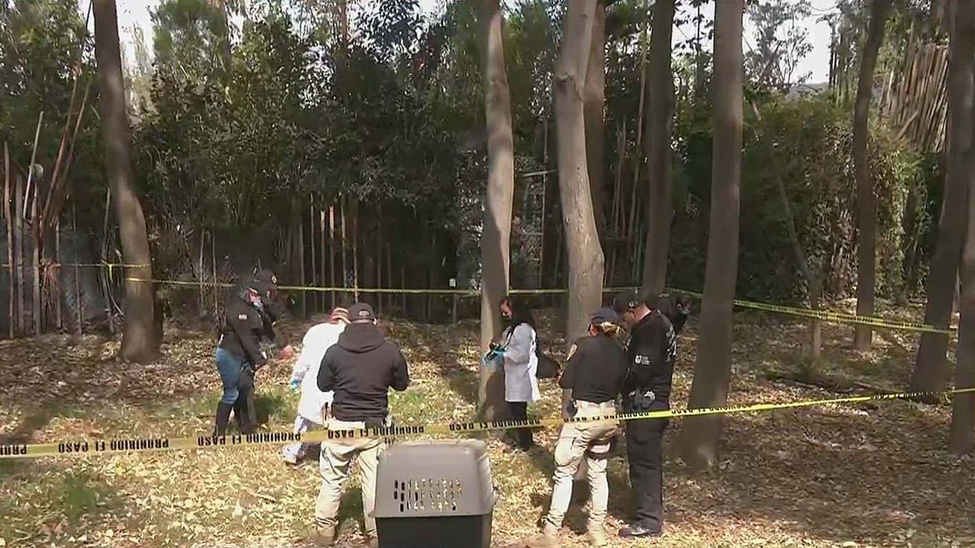 'Una Crueldad Horrible': Vecina Llora por Hallazgo de Otro Perrito Muerto en Nativitas; Suman 22