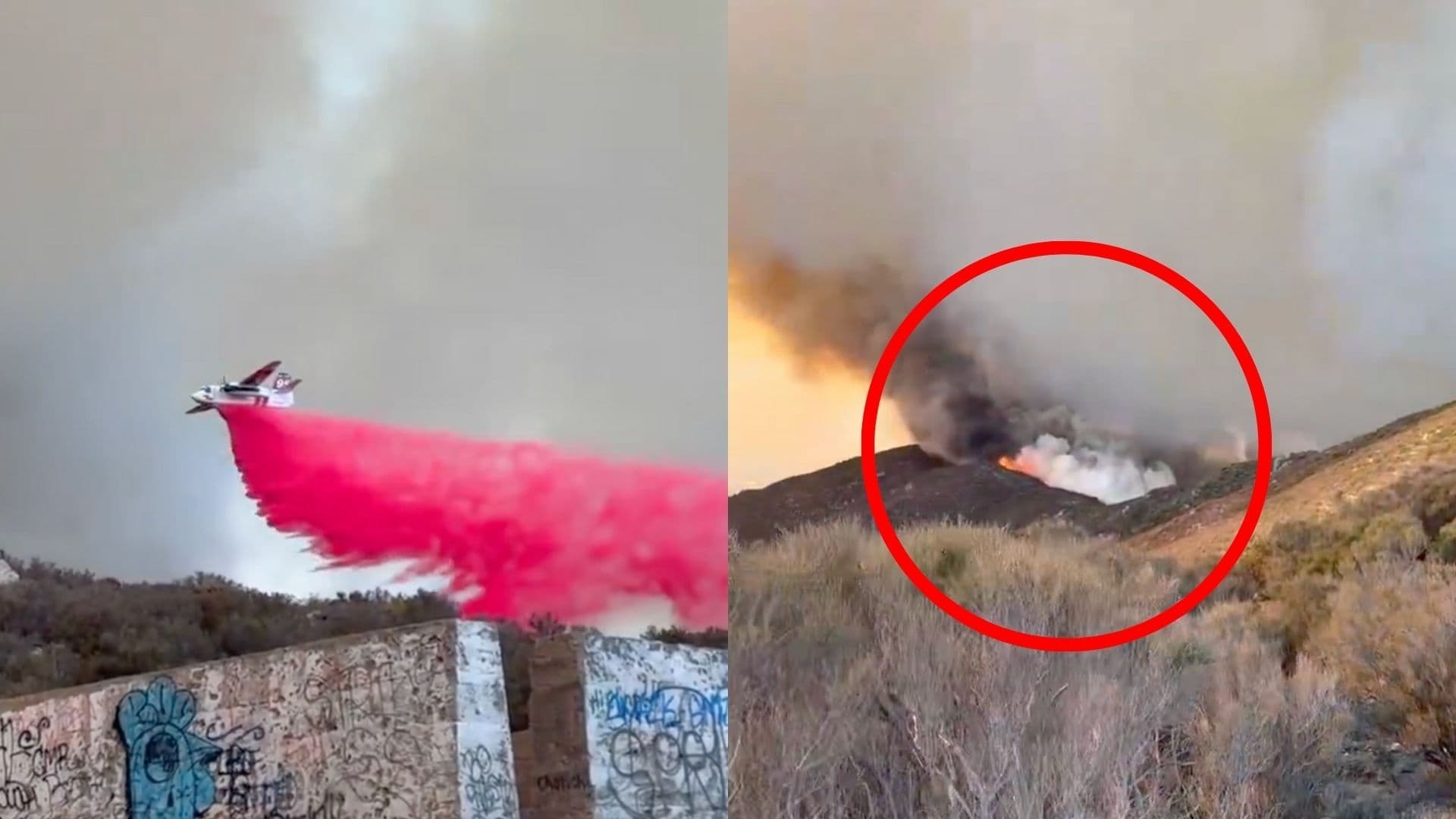 Incendio Forestal en Chula Vista Arrasa con Casi 100 Hectáreas; Bomberos Luchan por Contenerlo
