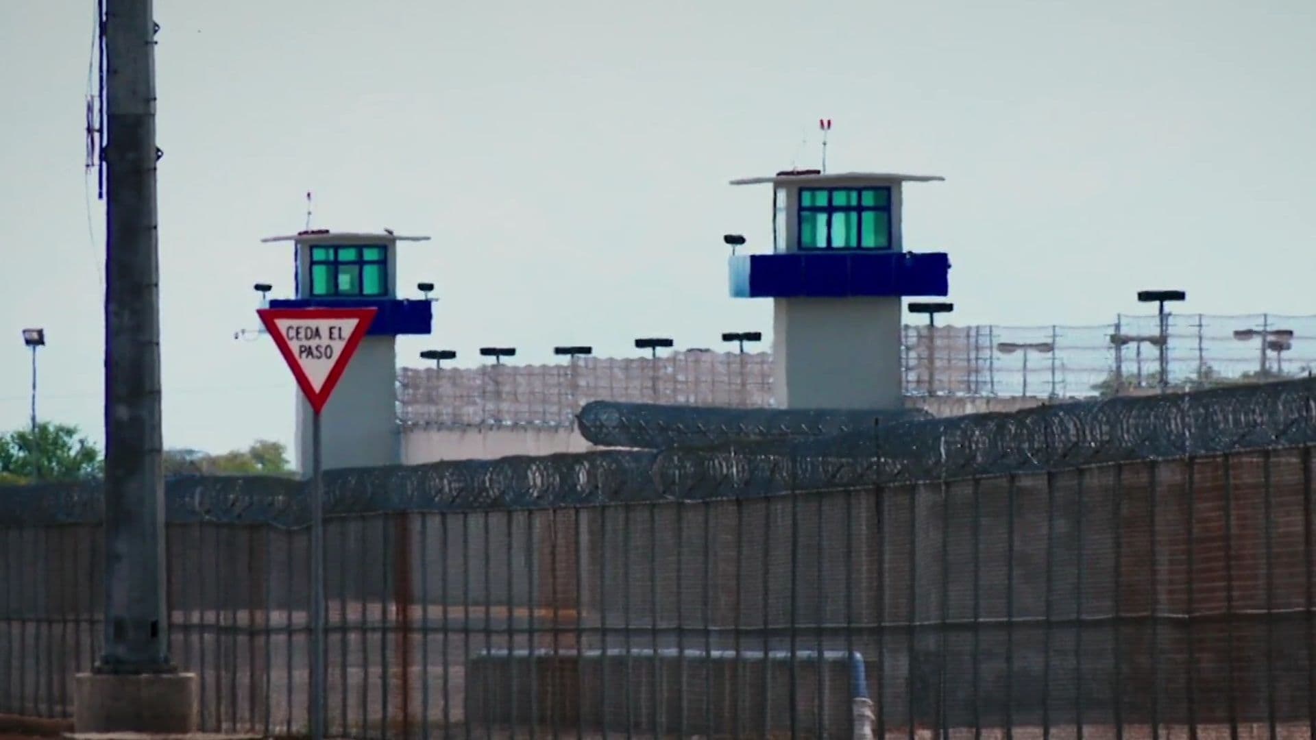 Alertan por Salud Mental y Seguridad de Internas del Penal de Coatlán del Río, Morelos