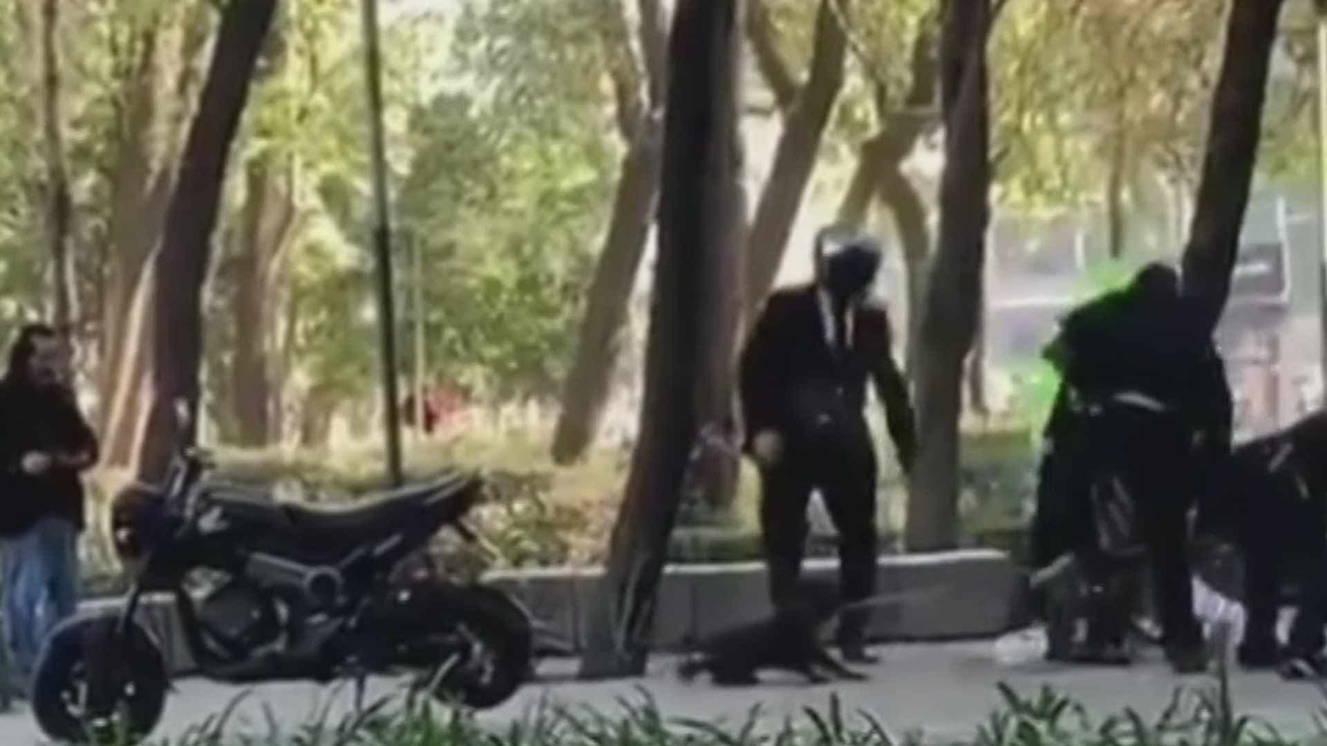Video | Así Golpearon Presuntos Trabajadores de Sandra Cuevas a Hombre en Paseo de la Reforma