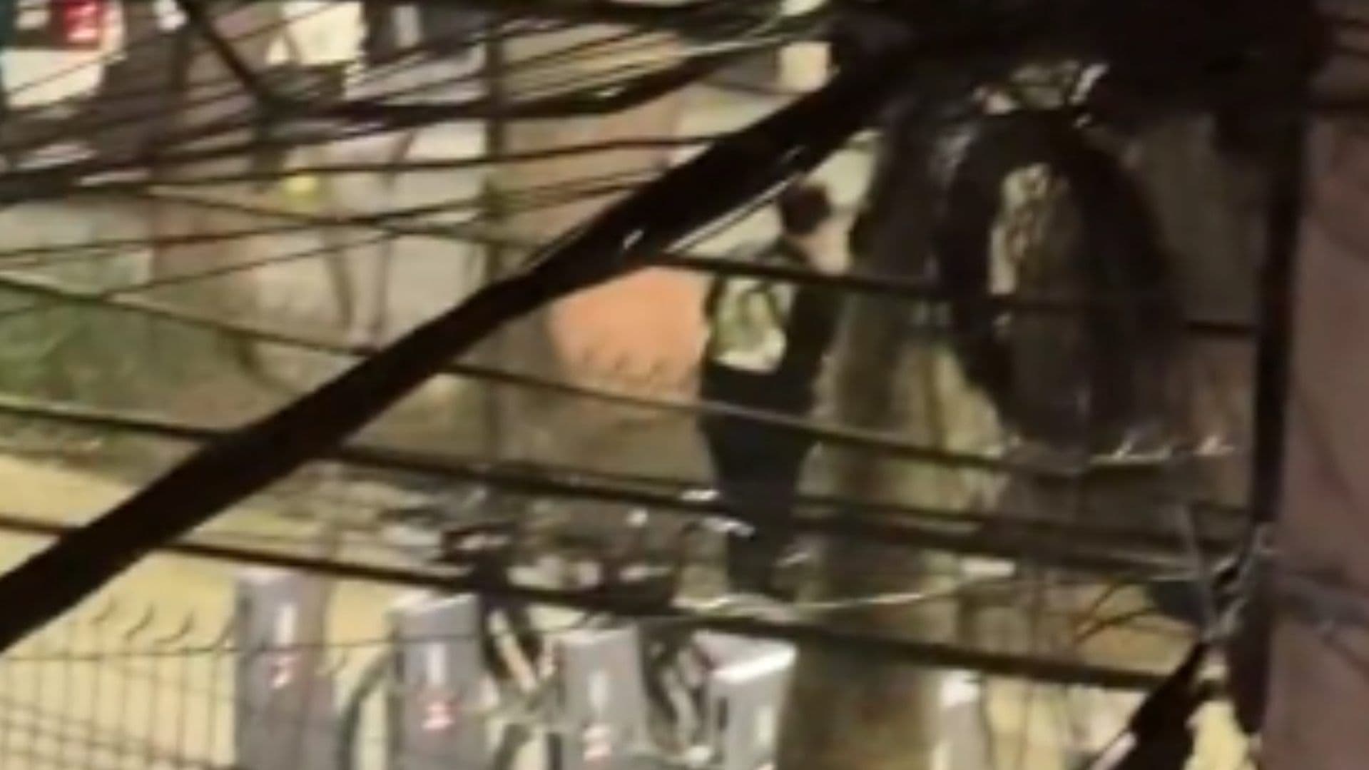 Matan a Tiros a Extranjero en Colonia Condesa, en CDMX, Hoy 8 de Febrero 2025