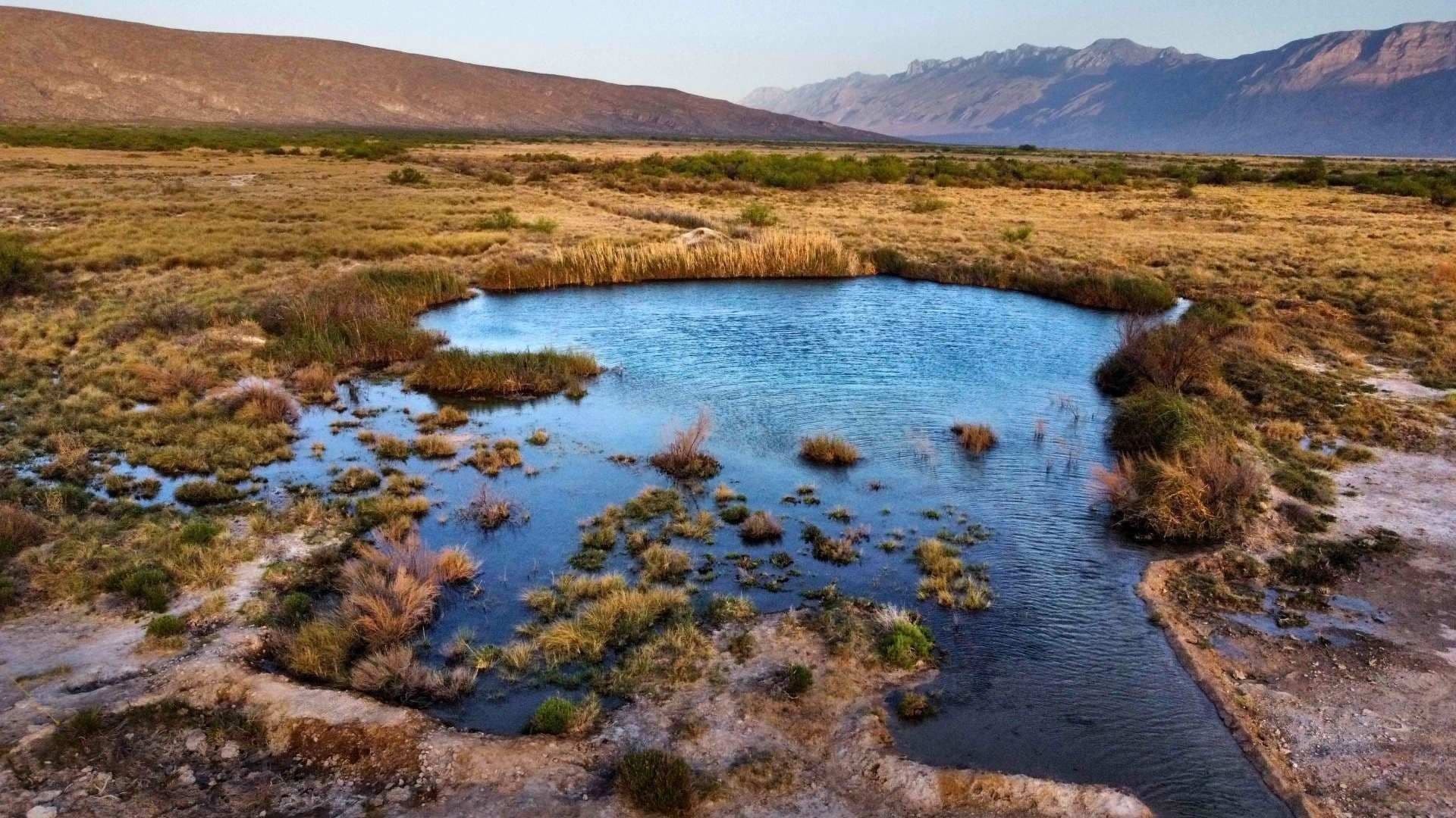 Microorganismos de Cuatro Ciénegas Podrían Originar Nuevos Antibióticos y Antitumorales