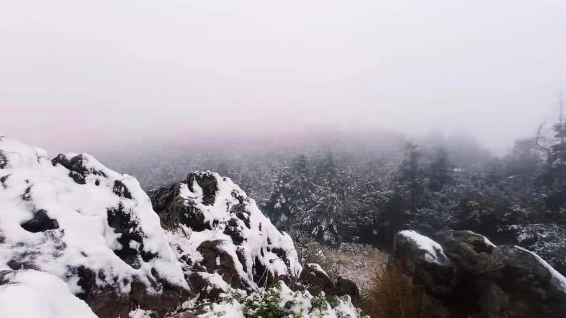 Cae Nieve en el Ajusco, La Marquesa y el Nevado de Toluca Hoy; Así se Ve en Imágenes