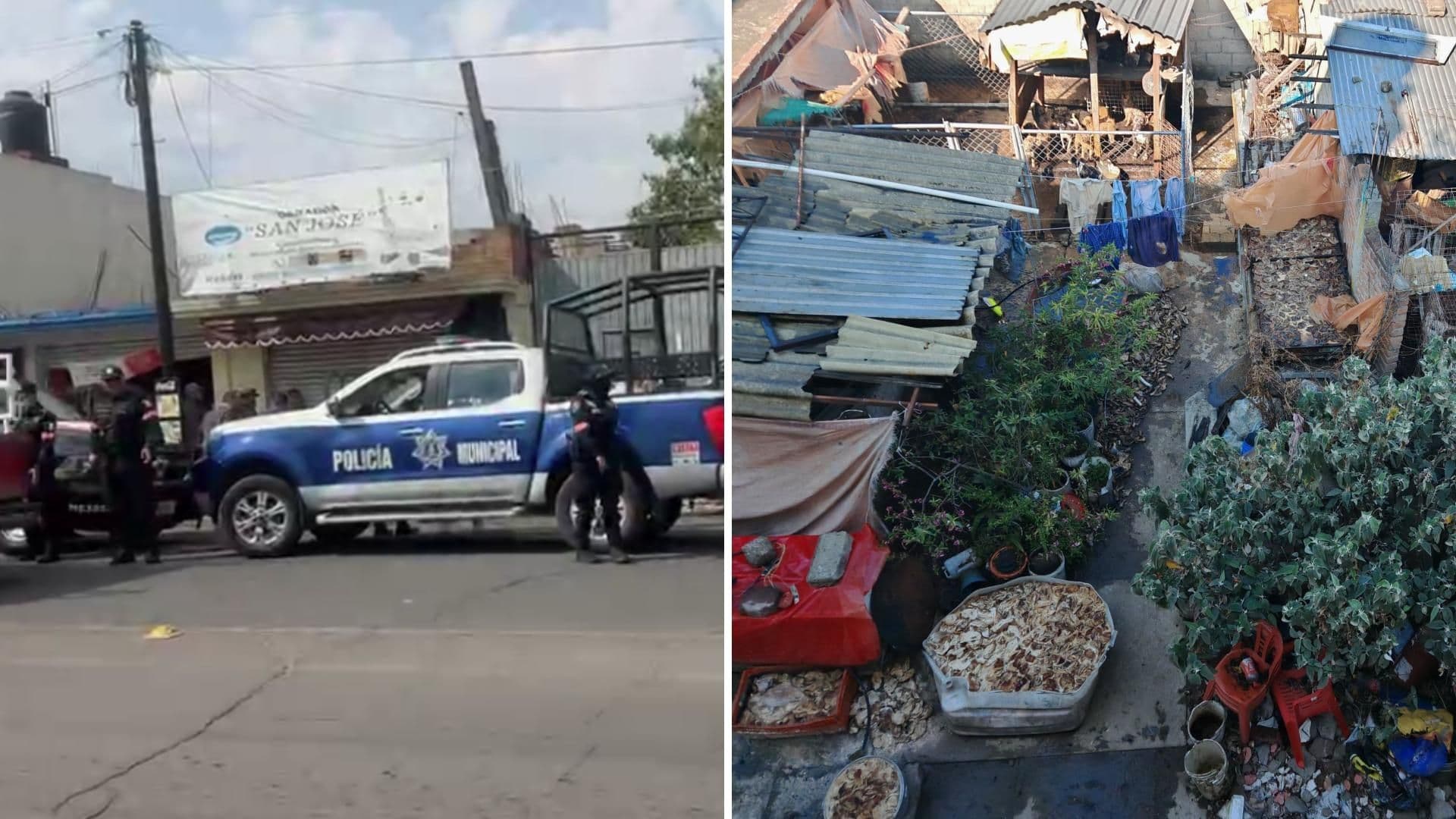 Detienen a Hombre que Vendía Carne de Perro para Barbacoa en Mexicaltzingo, Edomex