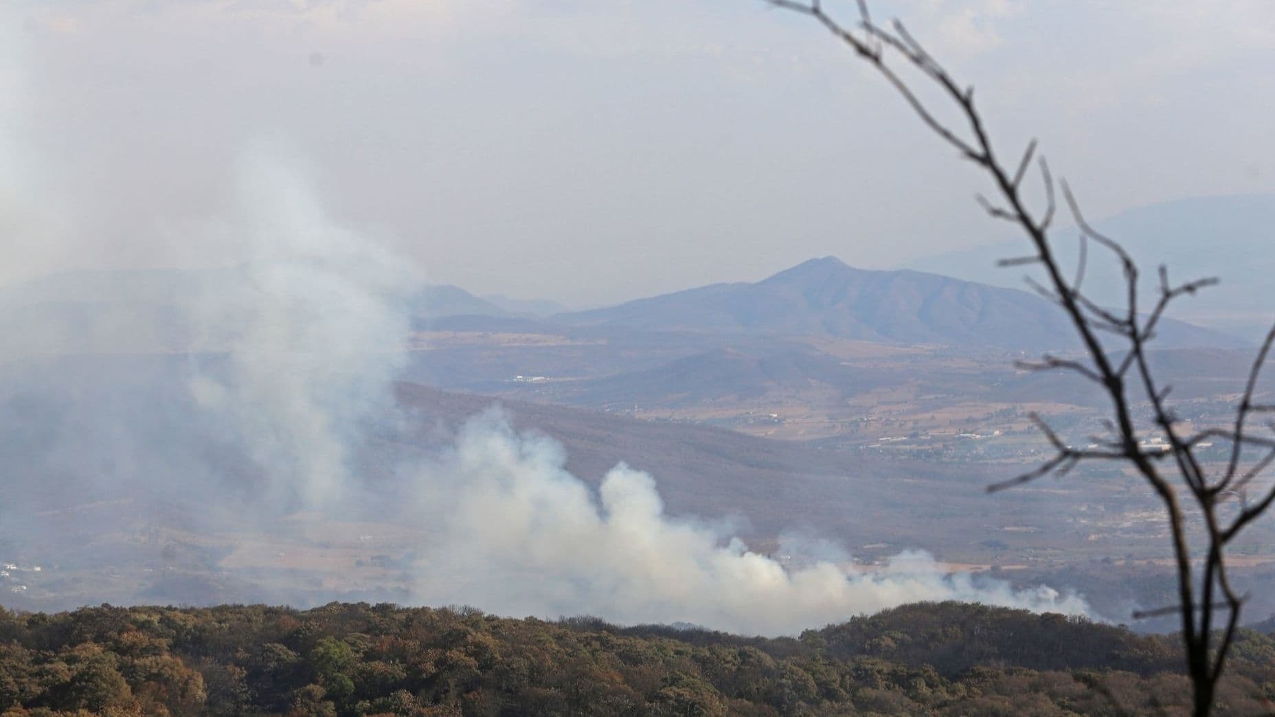 24 horas Después, Extinguen Incendio en el Bosque La Primavera, Jalisco