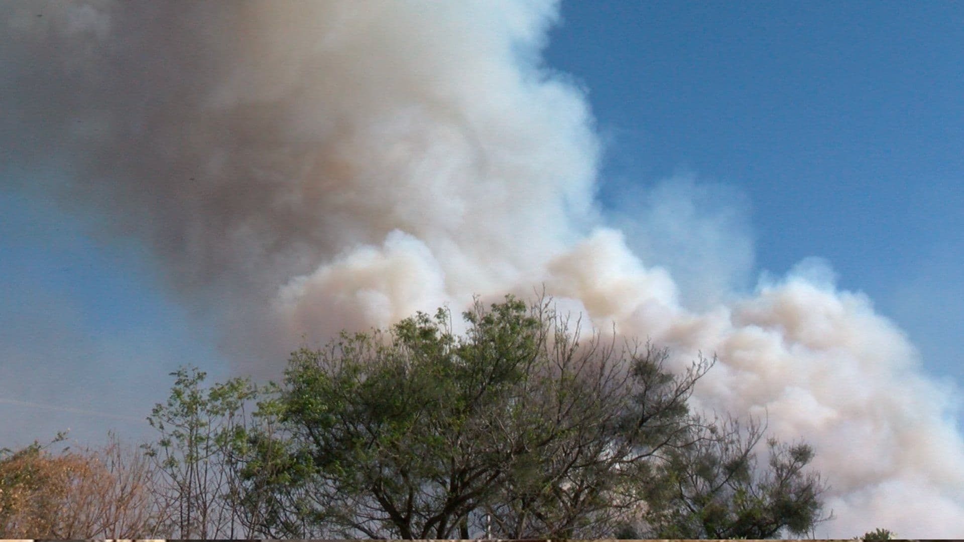 Fuerte Incendio en el Bosque La Primavera; Semadet Activó una Alerta Atmosférica