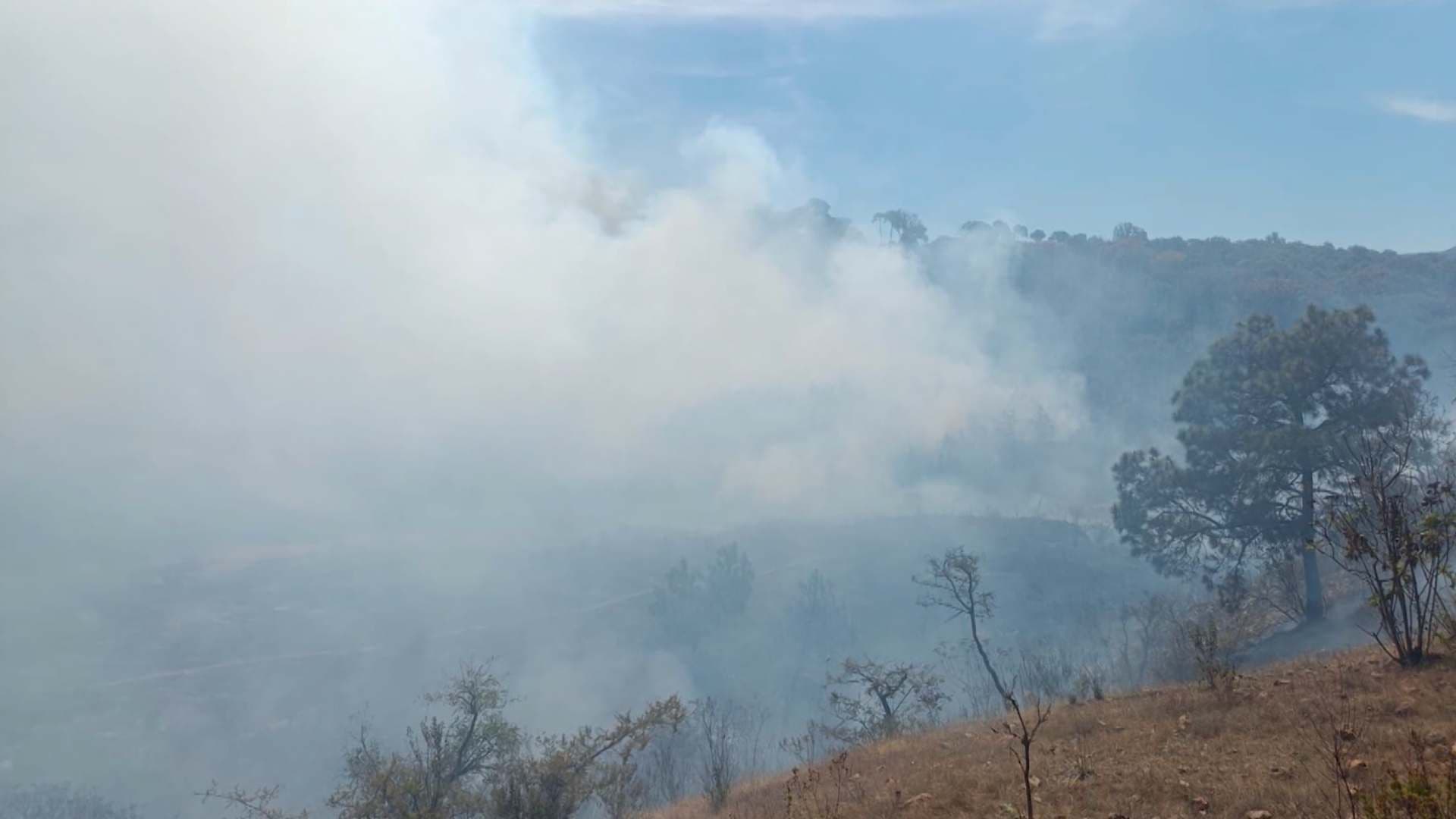 Brigadistas Combaten Incendio en el Bosque de La Primavera