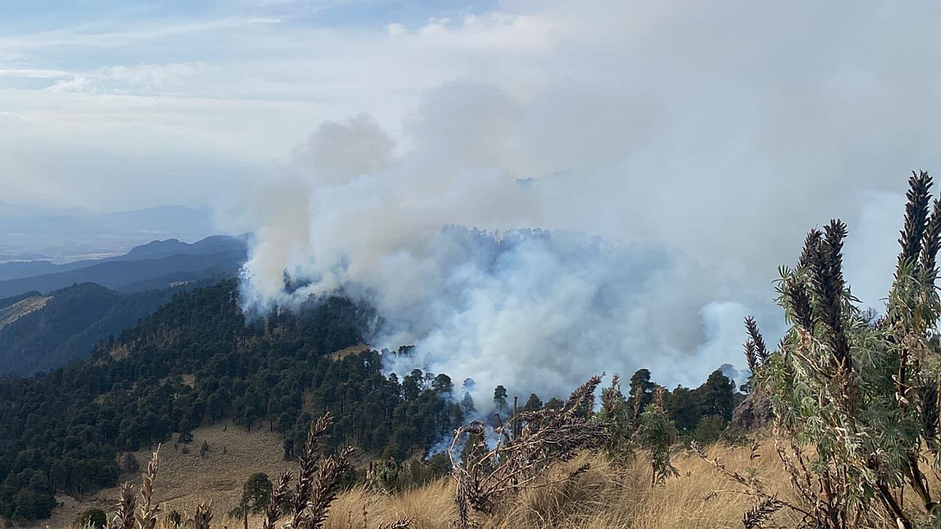 Incendio en Parque Izta-Popo Arrasa con Mil 600 Hectáreas en 5 Días