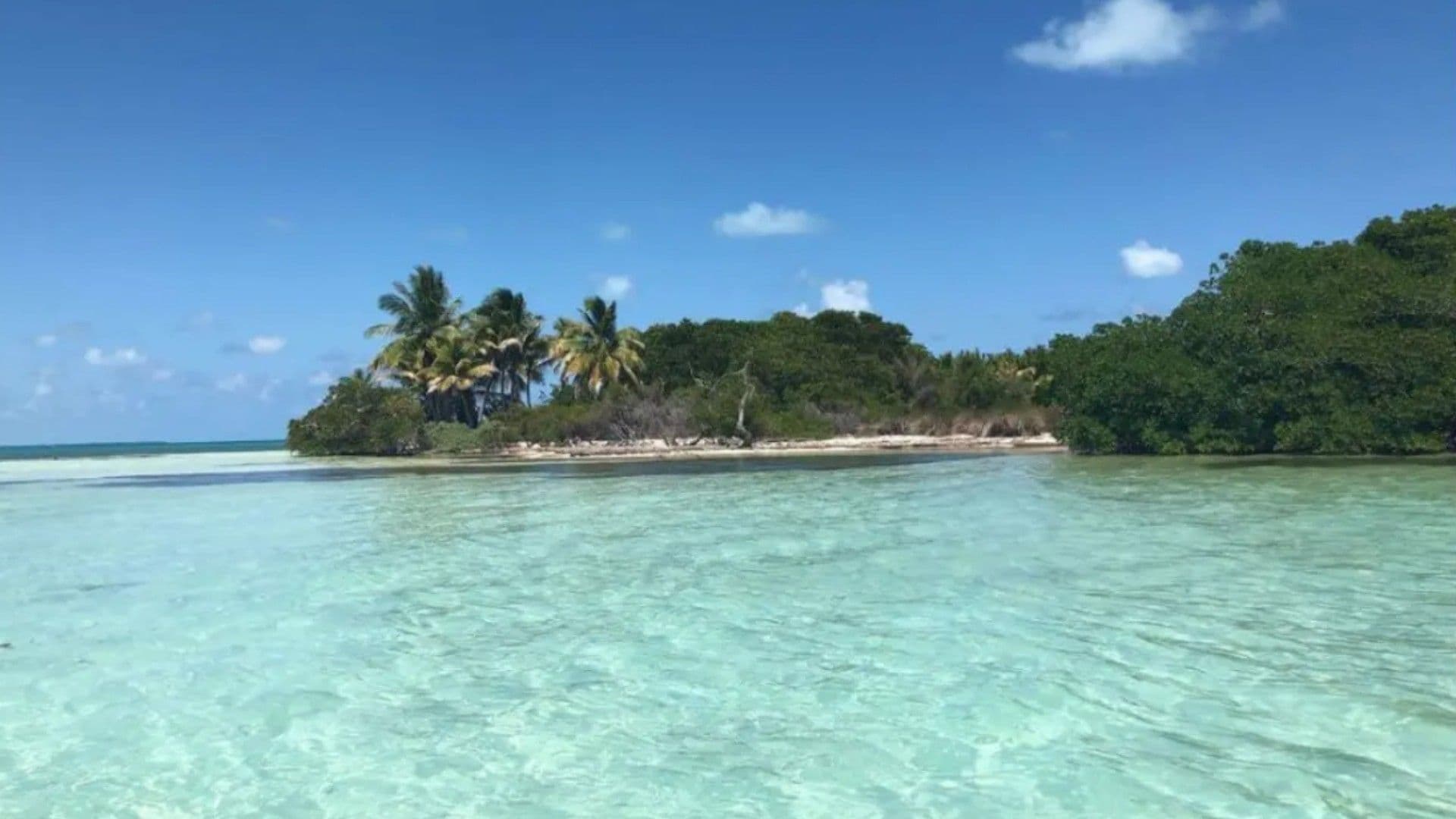 Ponen en Venta a Cayo Culebra, Última Isla Virgen de la Riviera Maya