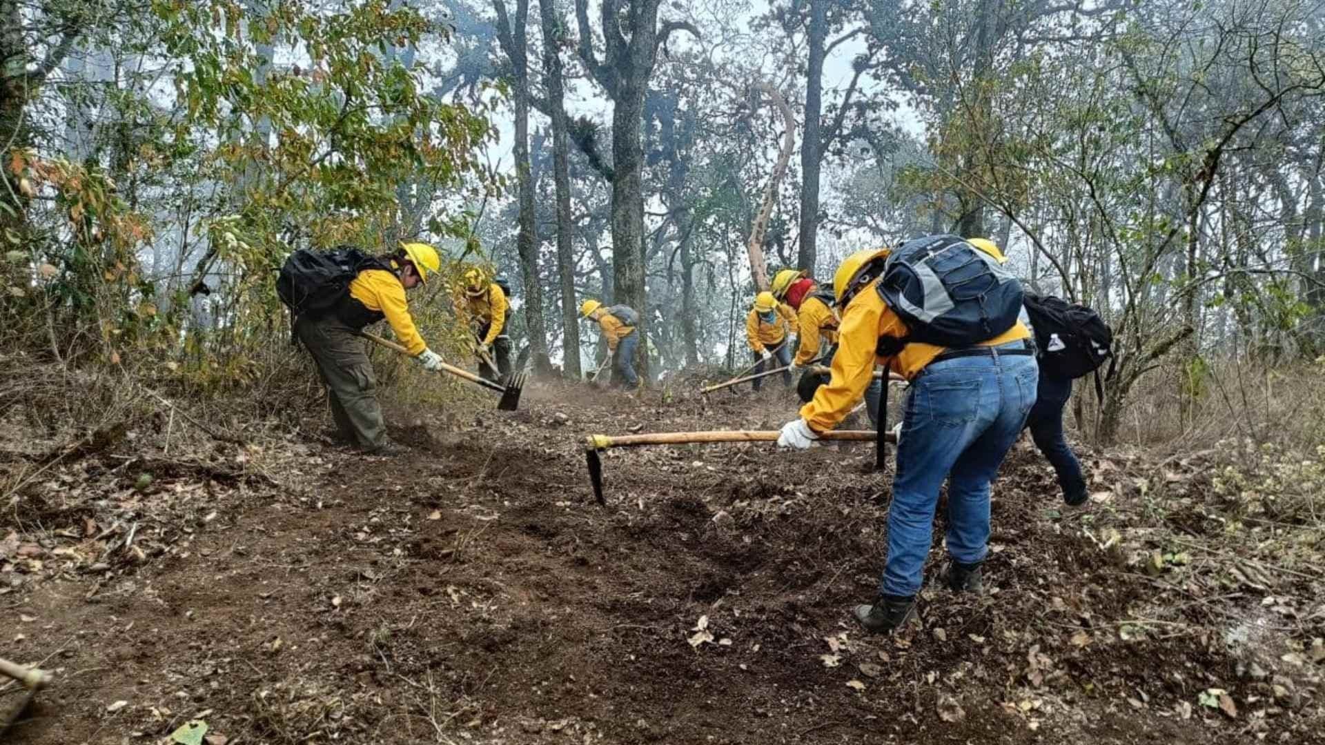 Logran Controlar al 100% Incendios en Huiloapan y Soledad Atzompa, Veracruz