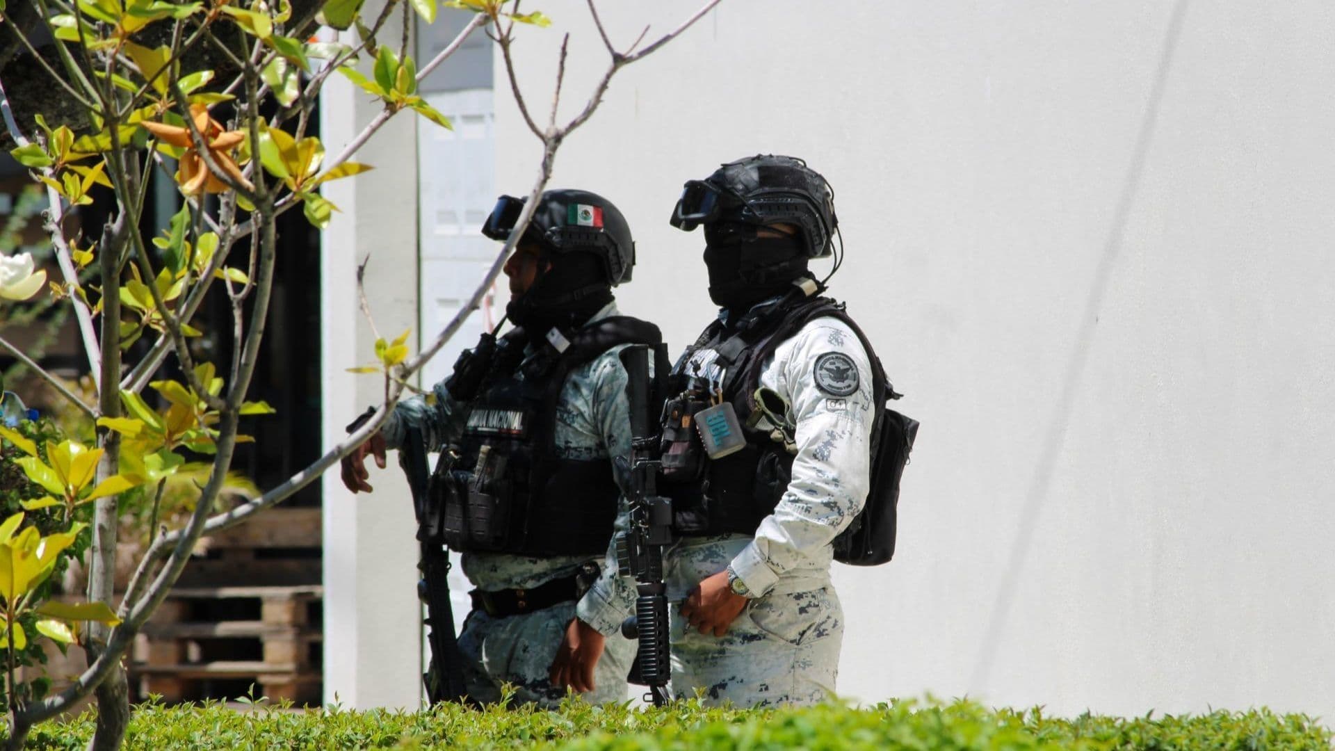 Asesinato de Gisela Gaytán: Detienen a Cuatro Personas en Operativo; Dos Son Menos de Edad