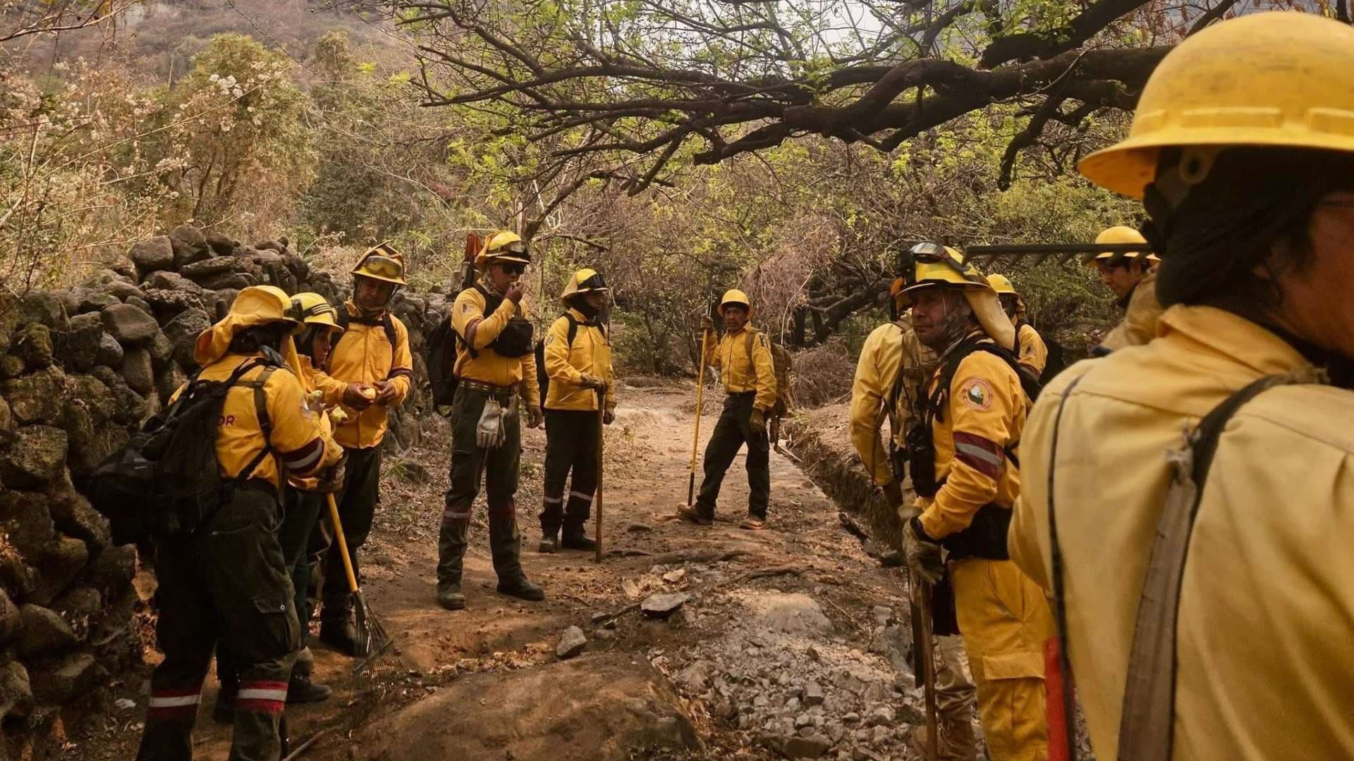 Brigadistas en Tierra Ayudarán a Combatir el Incendio en el Tepozteco