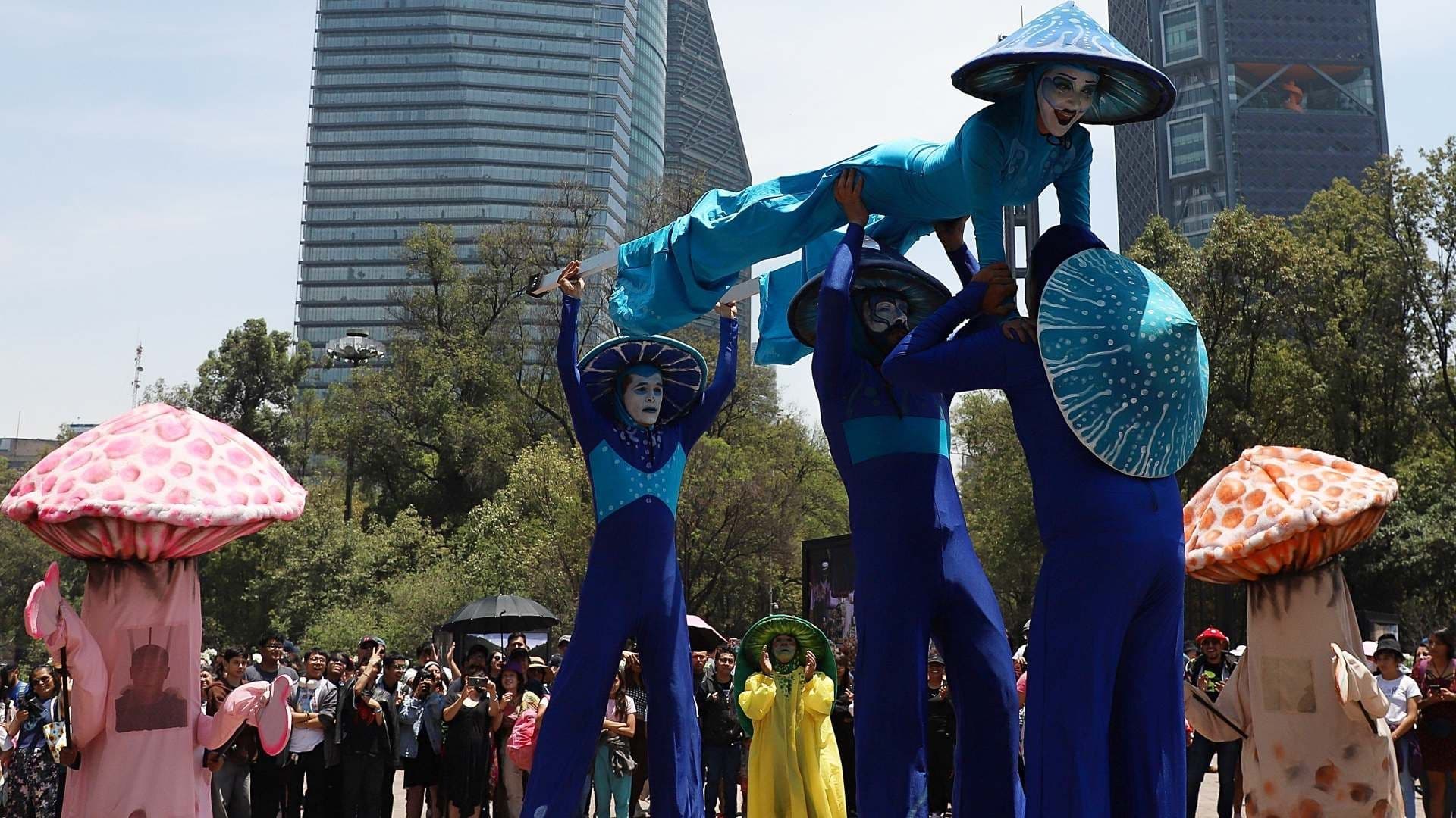 Inauguran Festival Spora 2025 en Bosque de Chapultepec: Hay Hongos Gigantes y Actividades Gratis