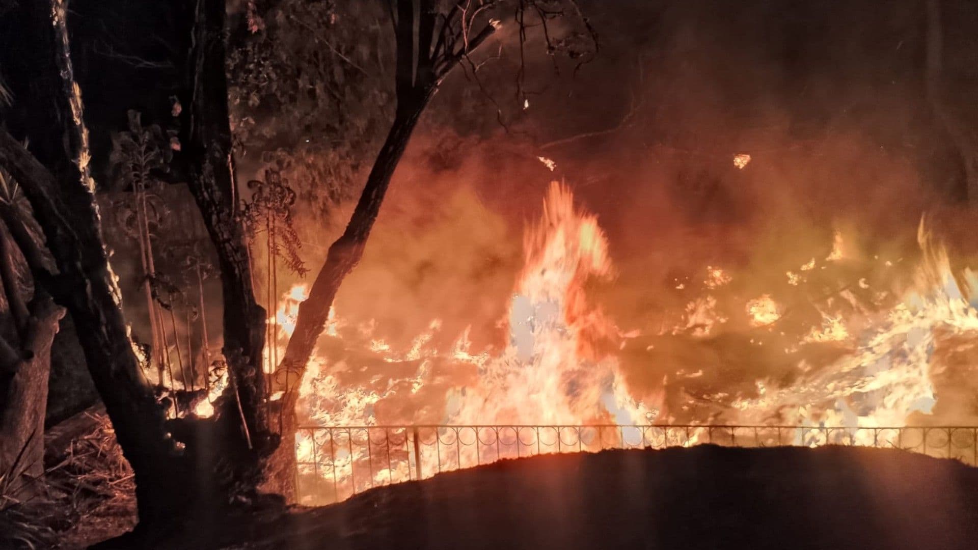Bomberos de CDMX Sofocan Incendio Provocado por Quema de Basura en Parque Lira