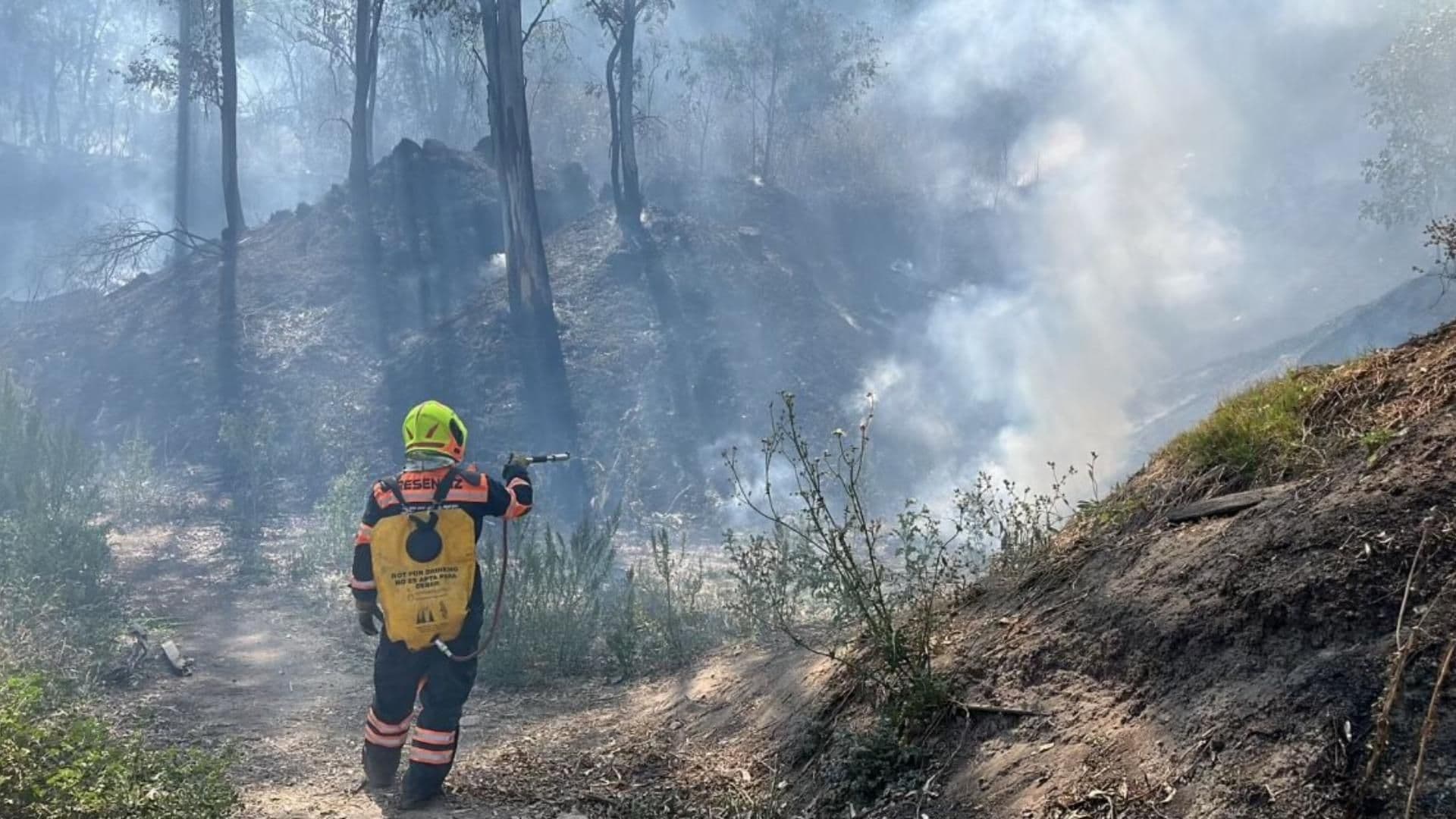 Incendio en Bosque de Chapultepec: Protección Civil y Bomberos de CDMX Acuden al Lugar