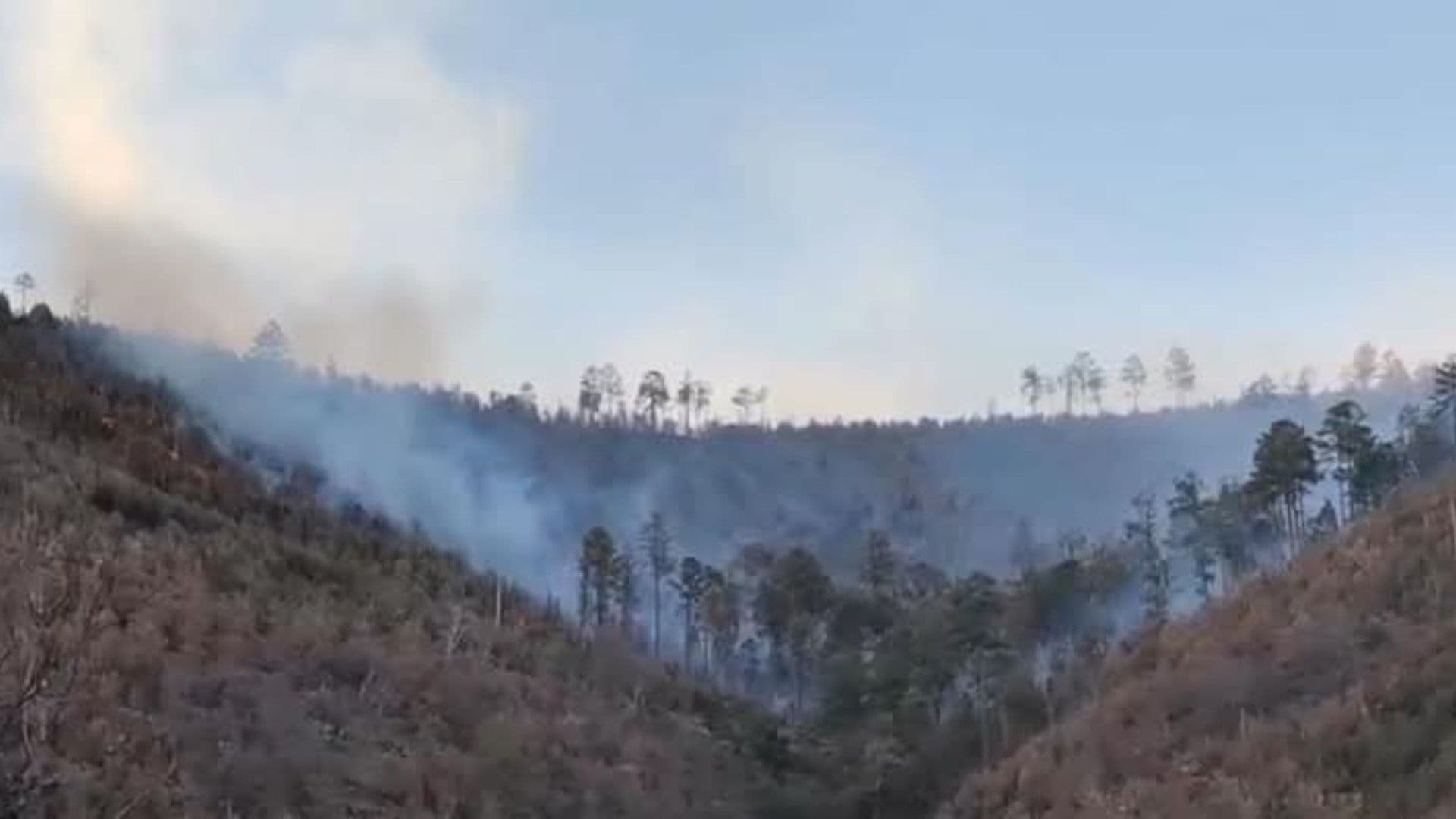 Incendio Forestal Ha Consumido 320 Hectáreas en Municipio de Nácori Chico