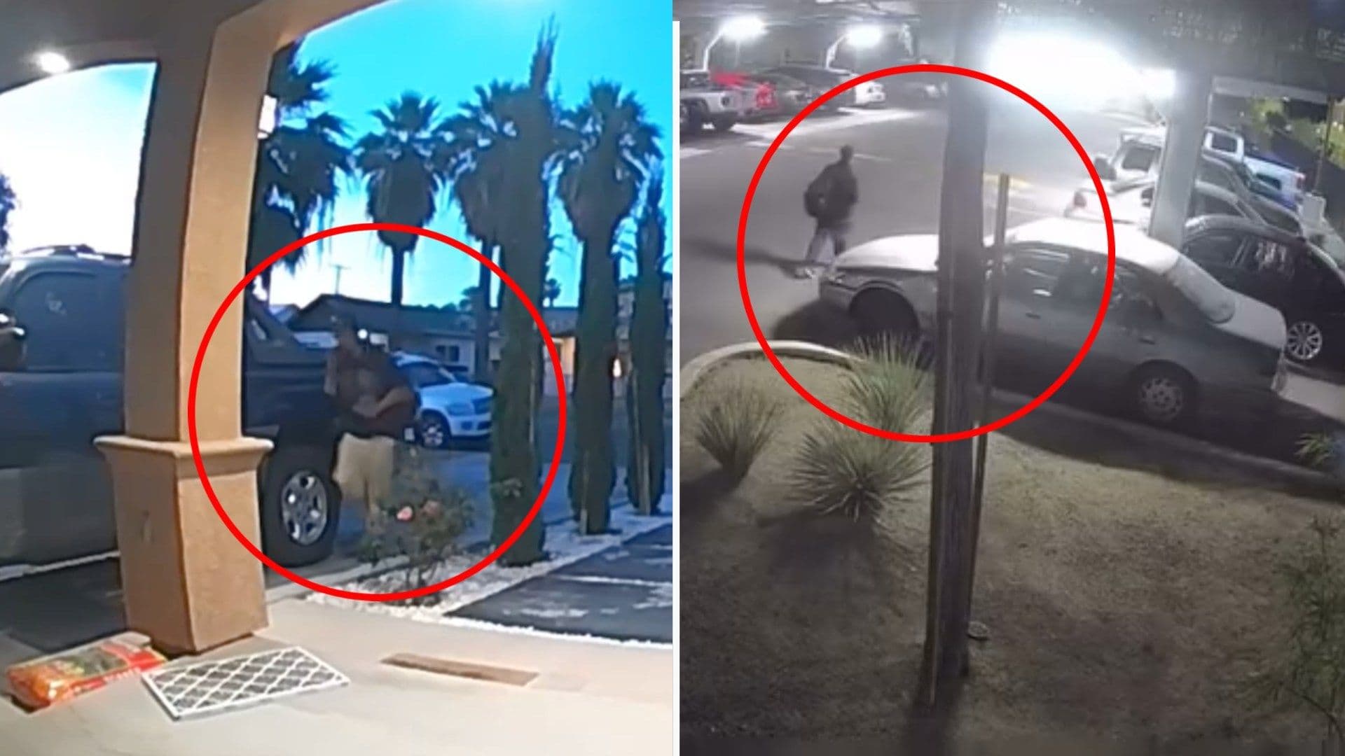 Video: Detienen a Sujeto que Robaba Autos en Calexico y los Cruzaba Hacia Mexicali