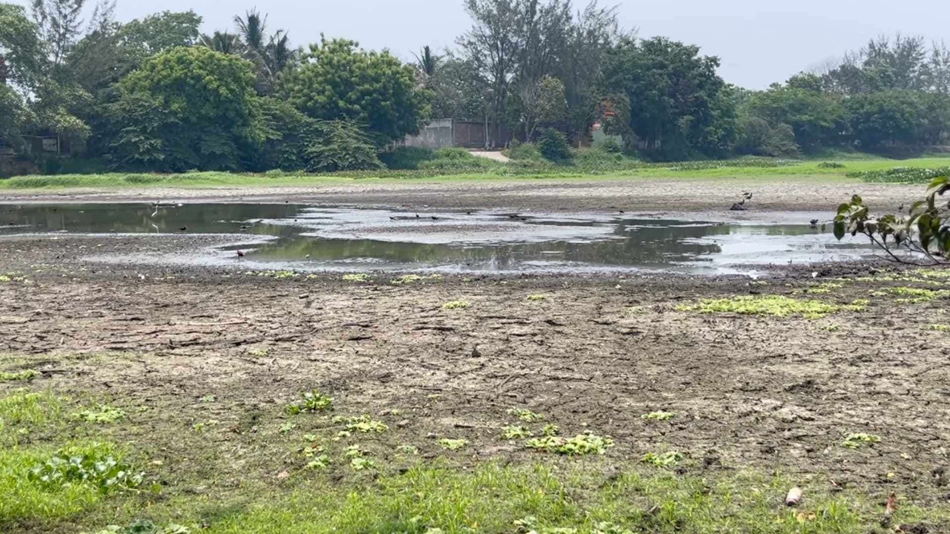 Laguna Lagartos Desaparece; Habitantes Intentan Rescatarla con Pipas de Agua