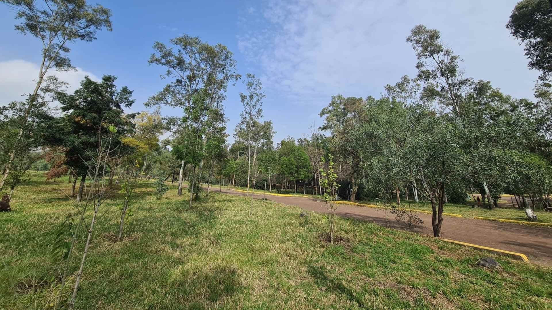 Bosque de Nativitas, Pulmón de la CDMX, Está en el Abandono