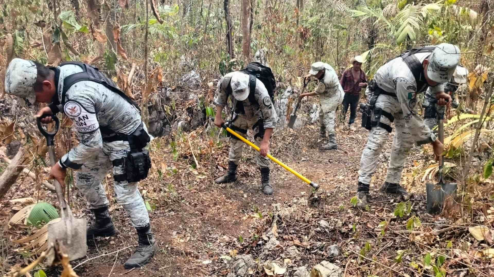 Se Reactiva Incendio Forestal en el Valle de Uxpanapa