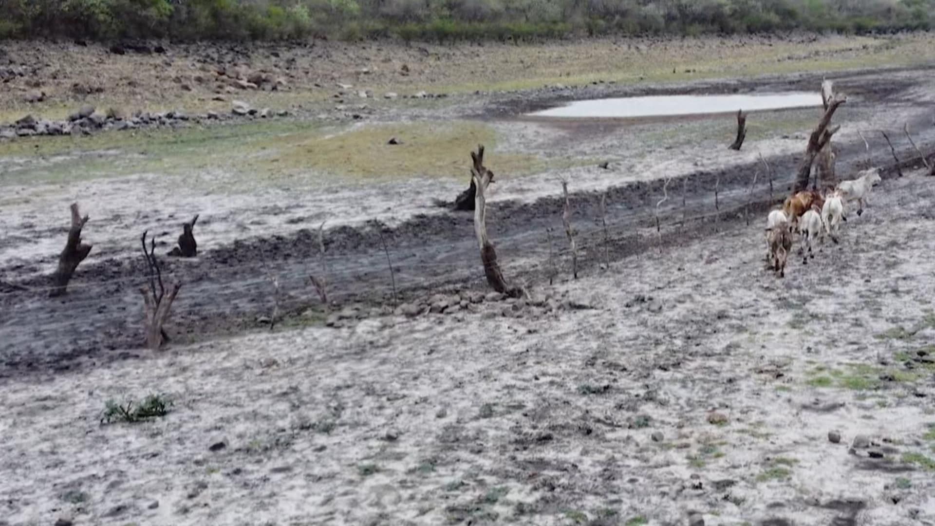 Sequía Extrema se 'Ensaña' con Tuxcueca, en Jalisco