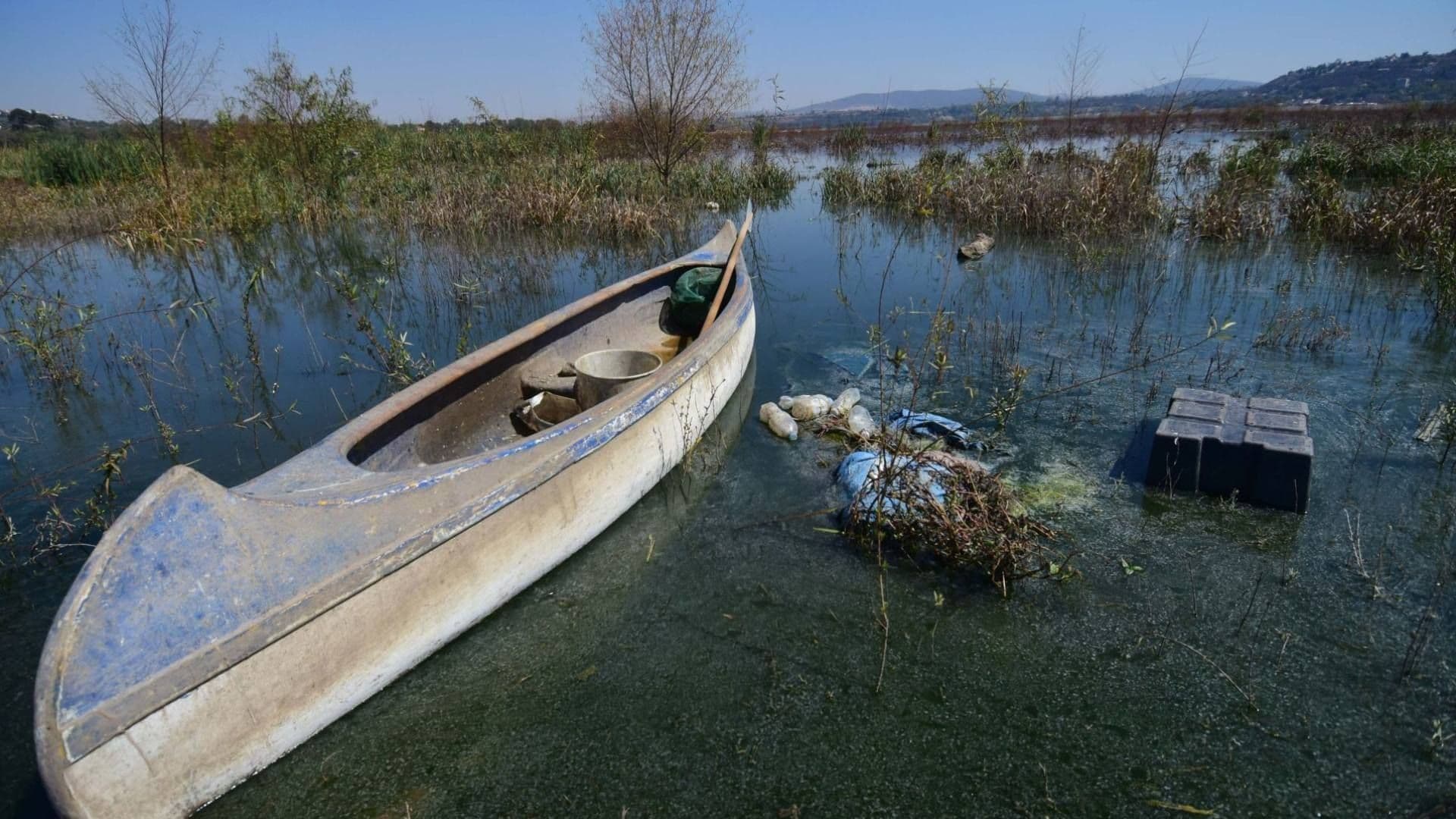 Así se Vivió el Foro para la Restauración Ecológica de la Presa Endhó, en Hidalgo