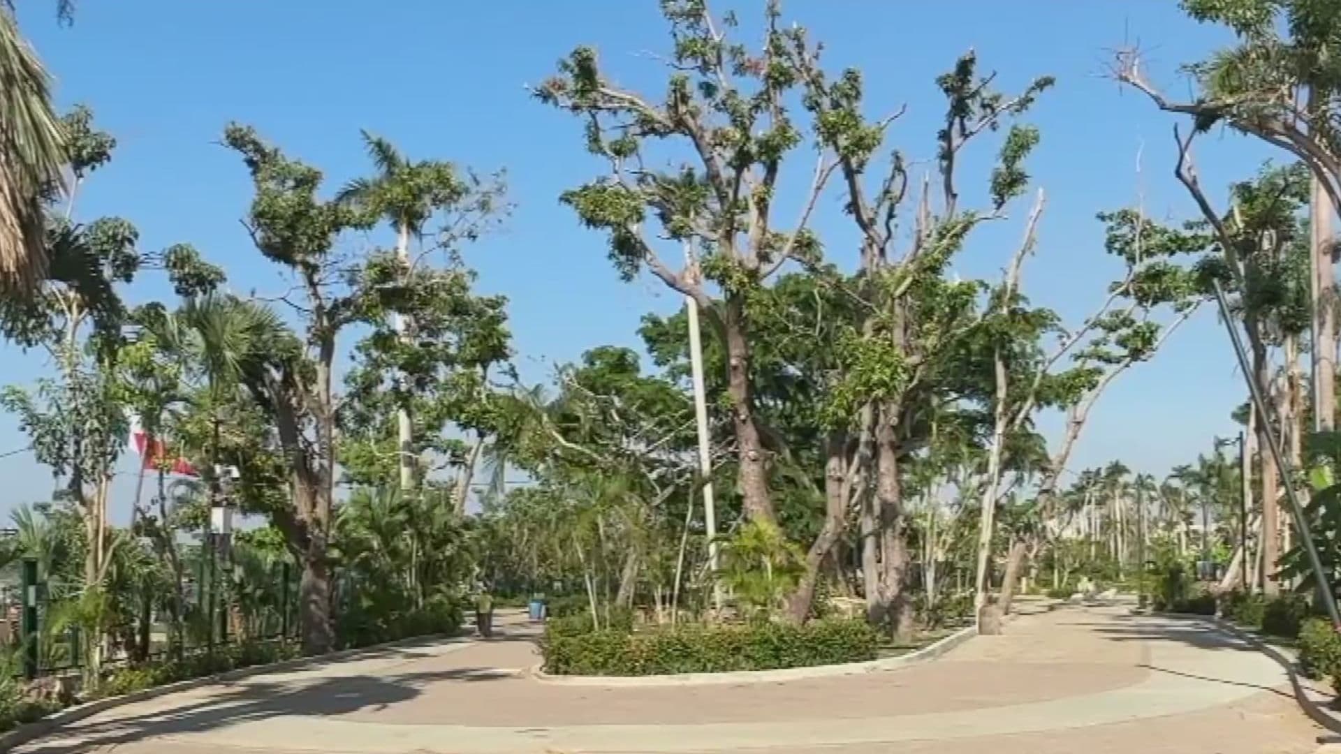 A Ocho Meses del Paso de Otis, Reabren Parque Papagayo de Acapulco, Guerrero