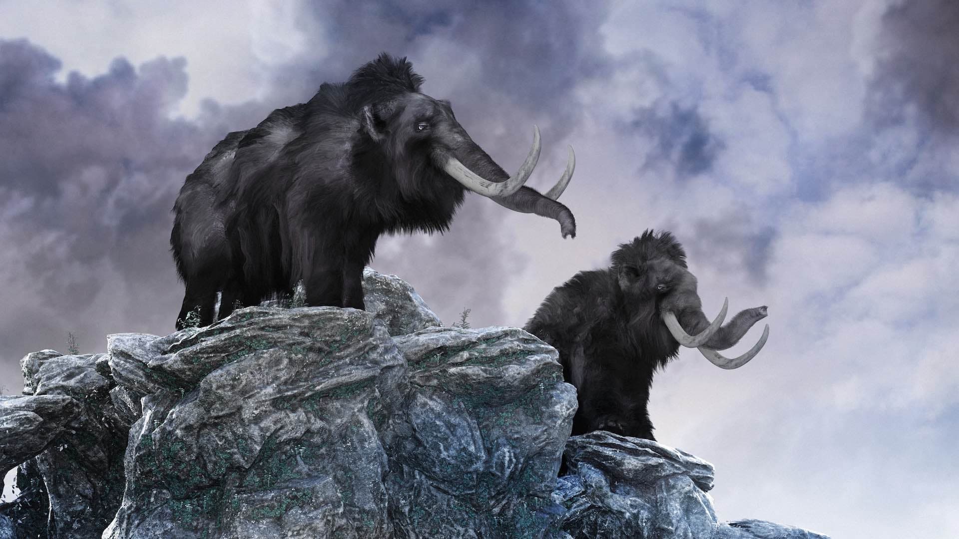 Descubren Cromosomas Fosilizados en la Piel de un Mamut en Siberia