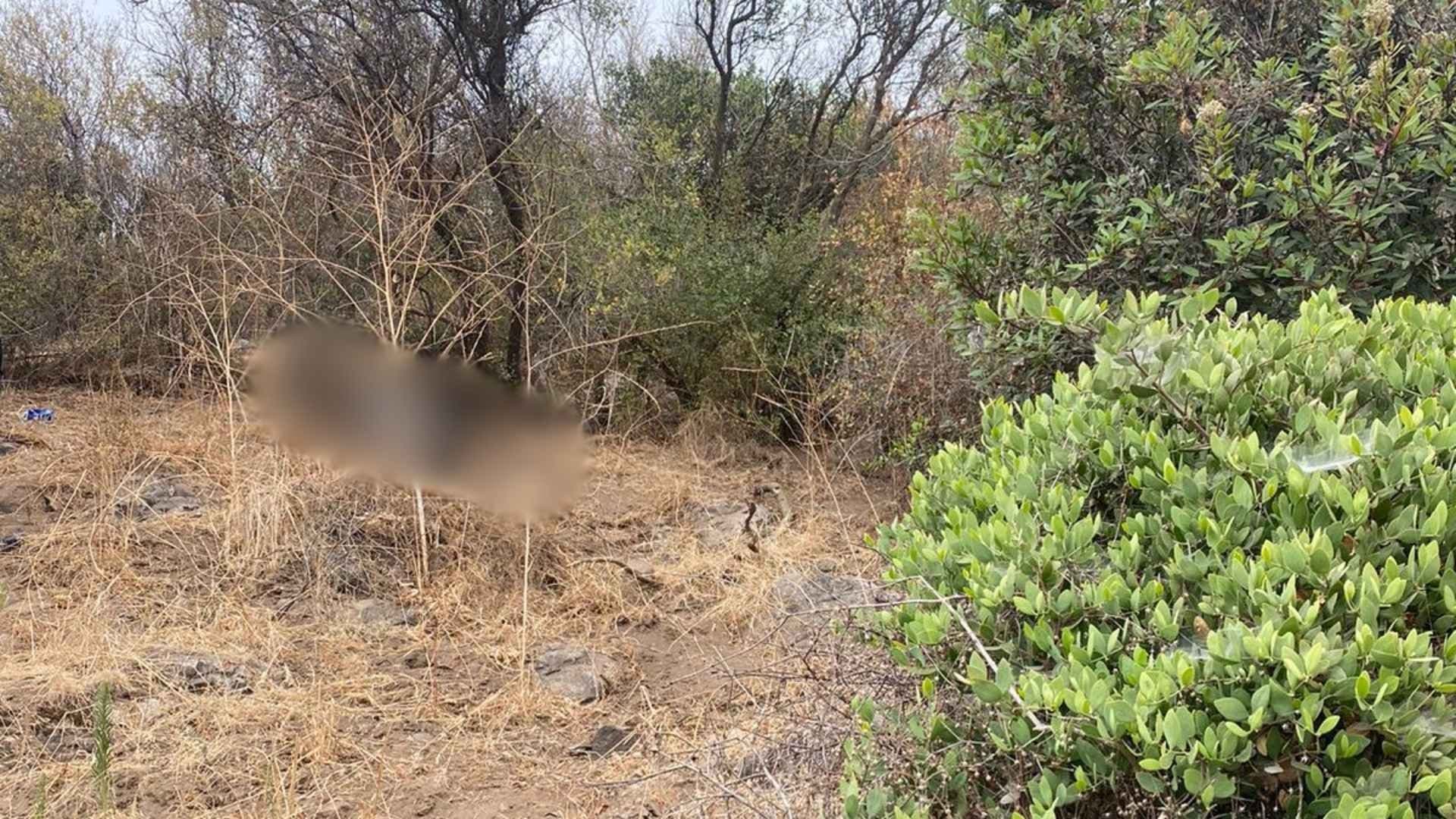 Hallan Cuerpo Mutilado en Fraccionamiento Valle Dorado en Ensenada